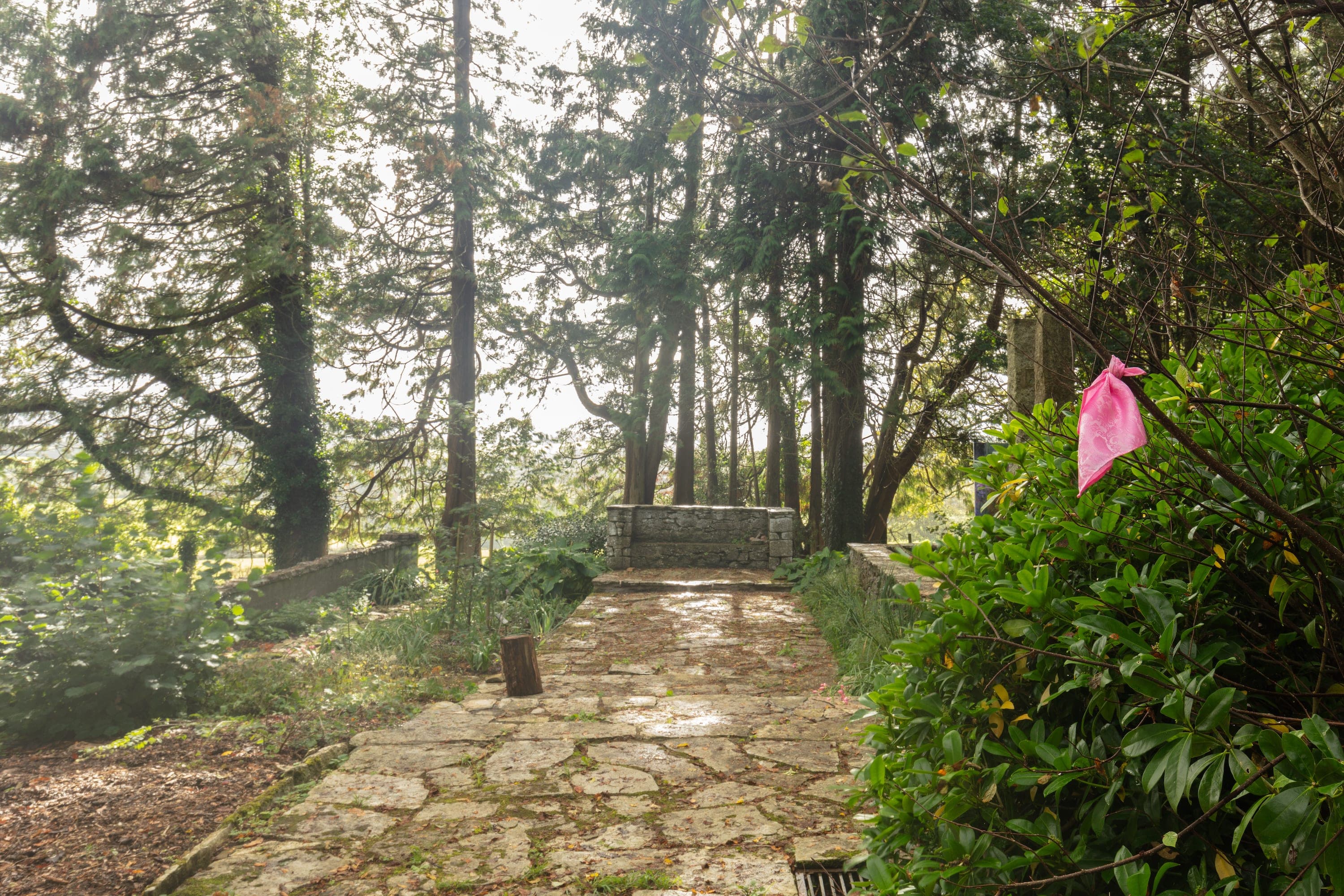 Artworks by James Cabaniuk installed outside in a lush green garden