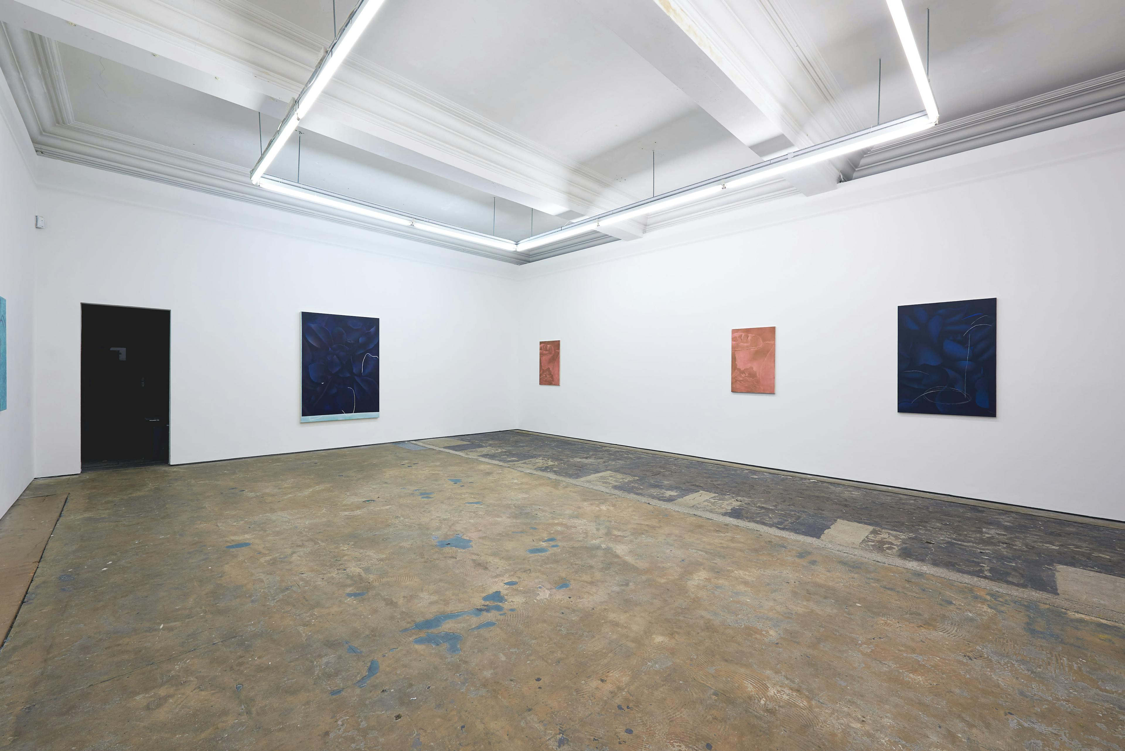 Installation documentation of Louise Giovanelli's 2019 solo exhibition at Workplace Foundation in Gateshead 