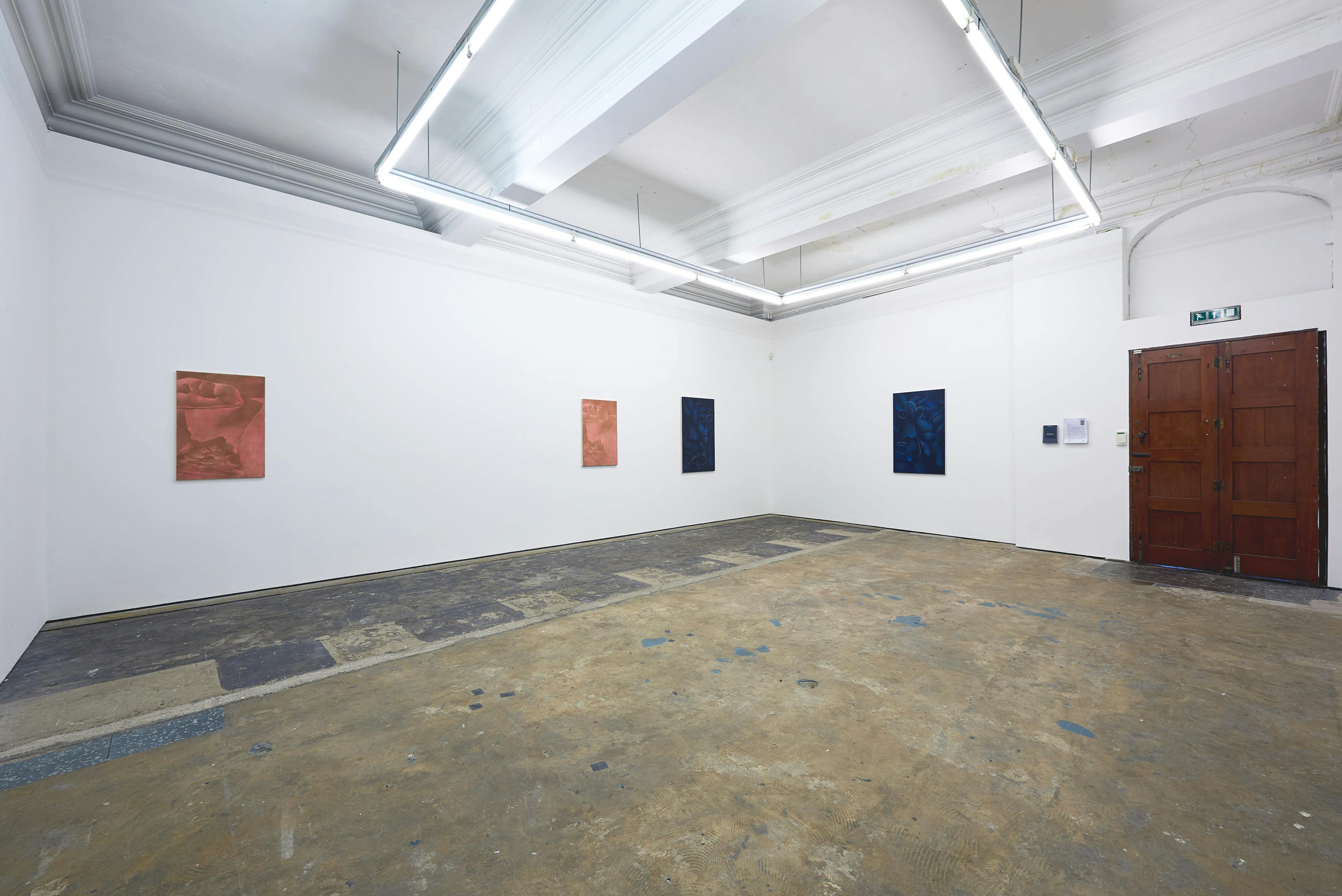 Installation documentation of Louise Giovanelli's 2019 solo exhibition at Workplace Foundation in Gateshead 