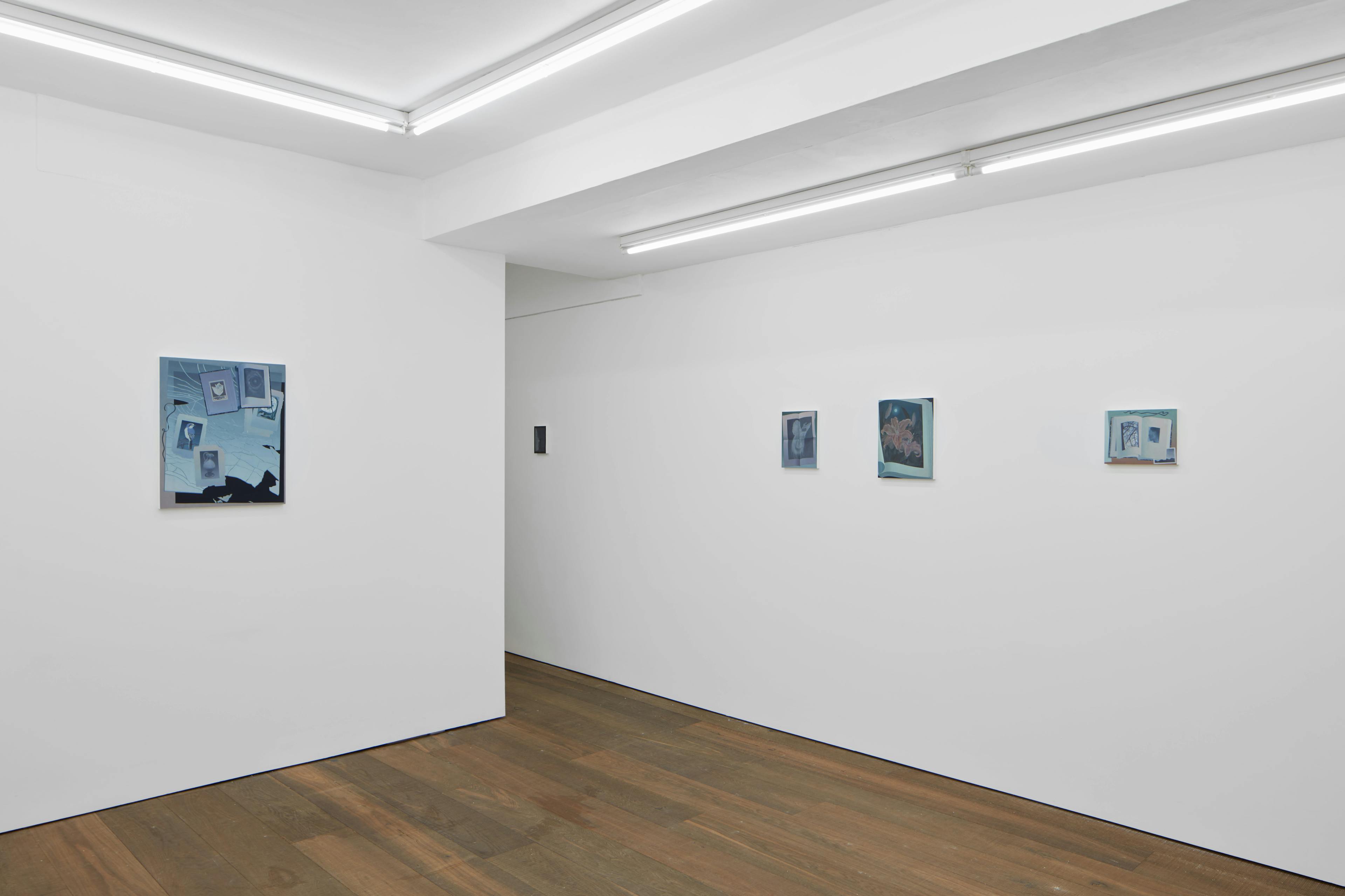 Installation shots of Olivia Jia's solo exhibition Ex Libris, at Workplace | London