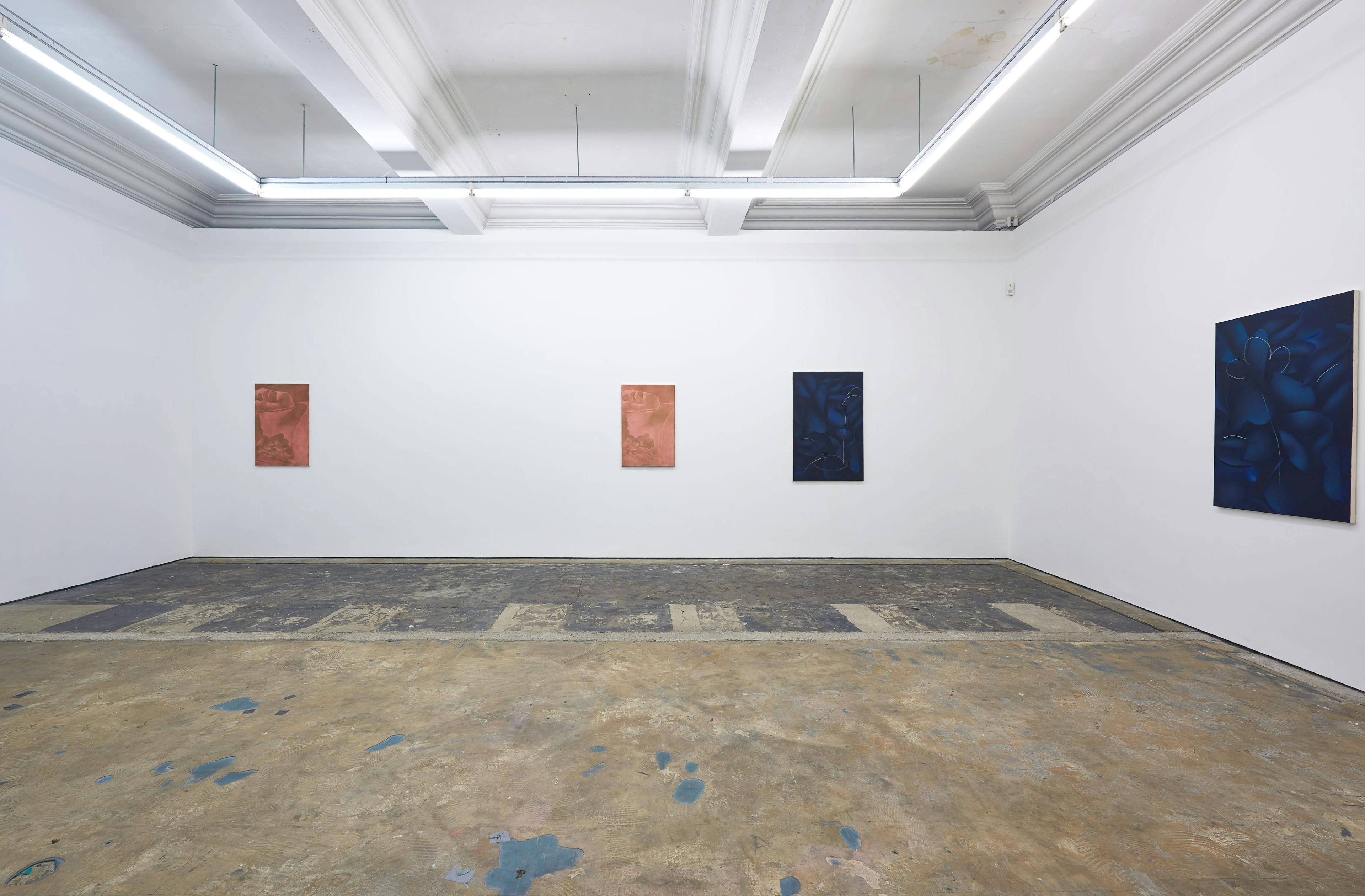 Installation documentation of Louise Giovanelli's 2019 solo exhibition at Workplace Foundation in Gateshead 