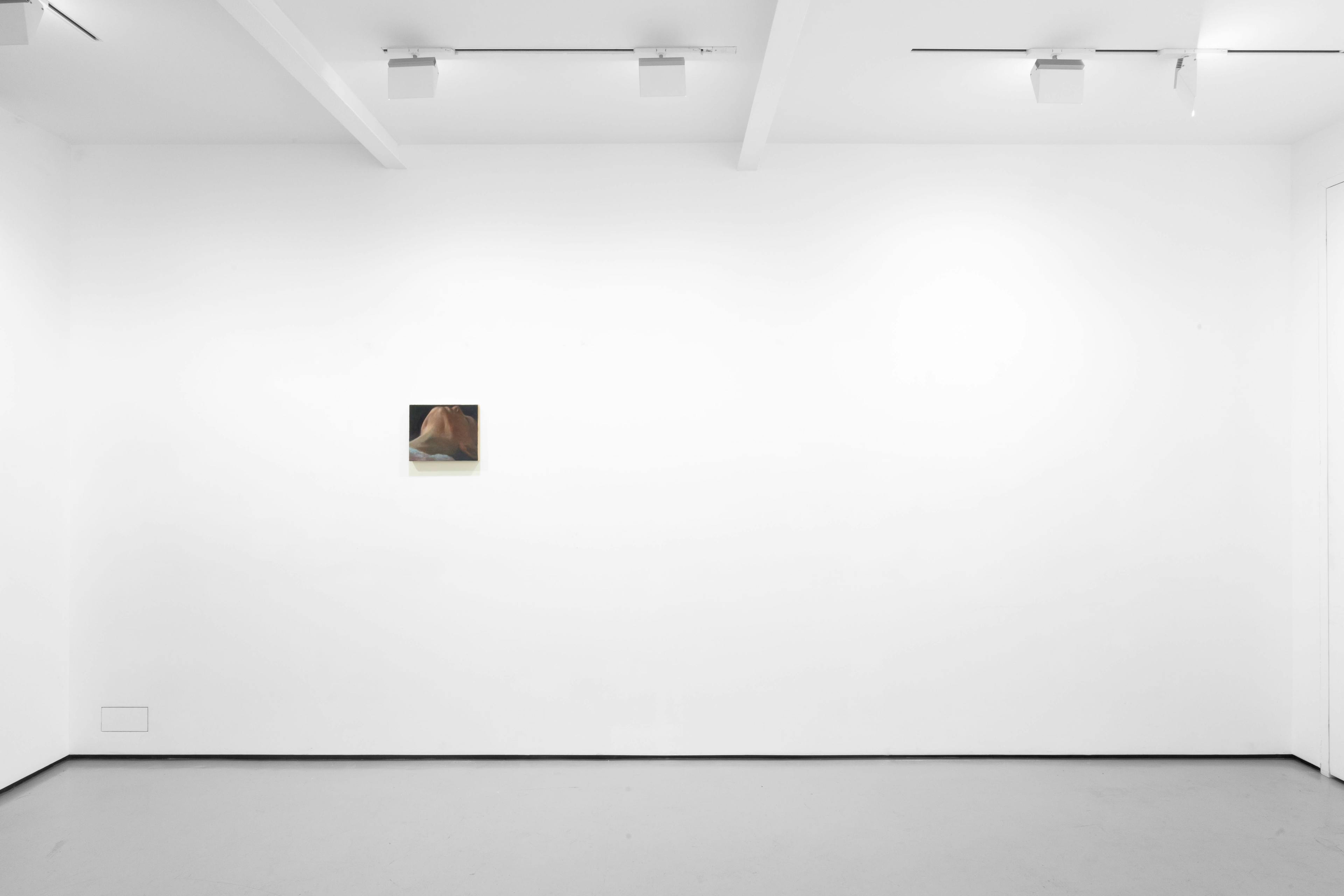 An installation view of Pei Wang's solo exhibition including several dark figurative paintings