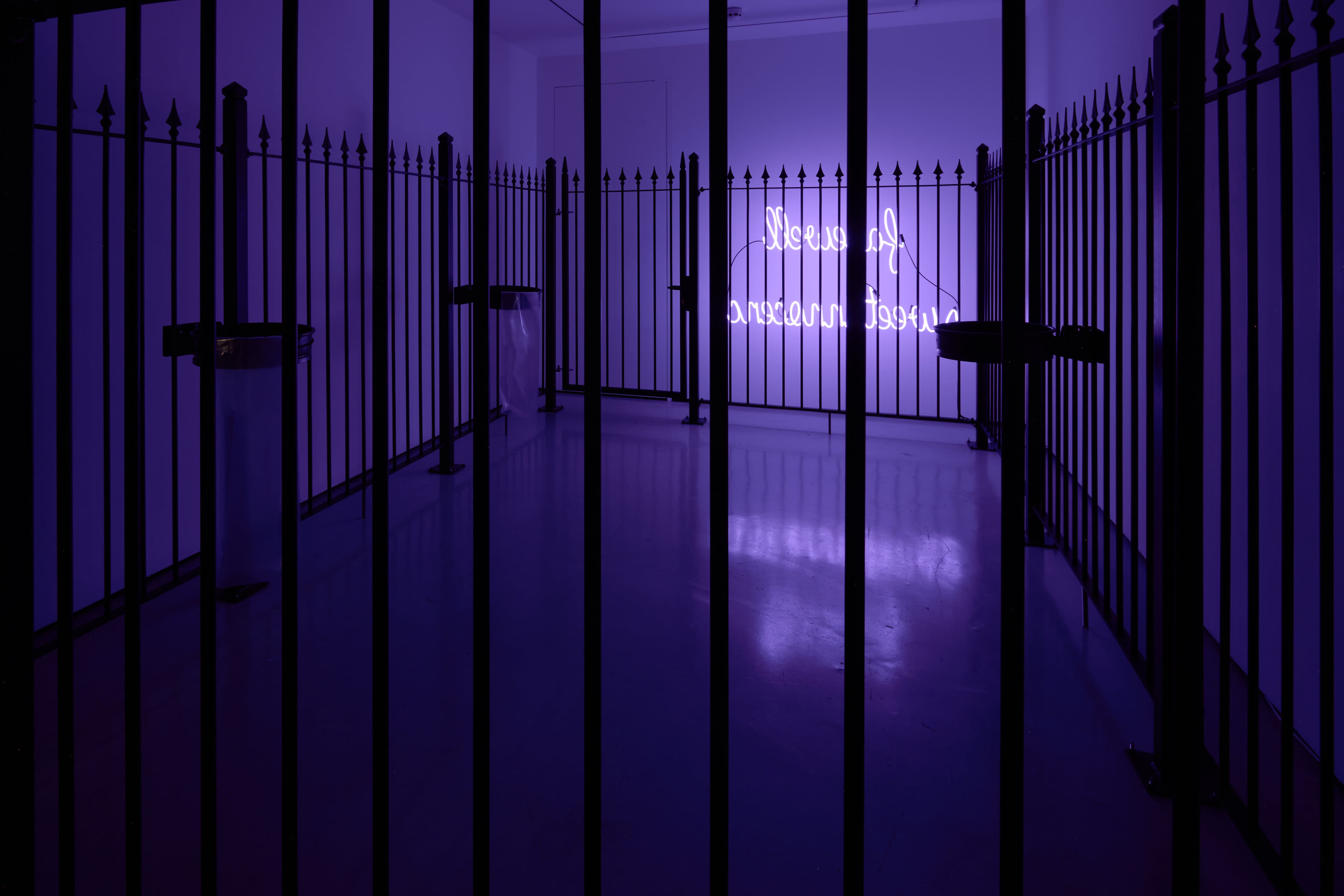 Photographe of  ɘɔnɘɔonni Ɉɘɘwƨ llɘwɘяɒʇ, 2023 by Simeon Barclay, consiting of a Metal fence, neon, plastic, metal bin holders, metal fixings. The black metal railings are lit by the purple glow of the neon text. 