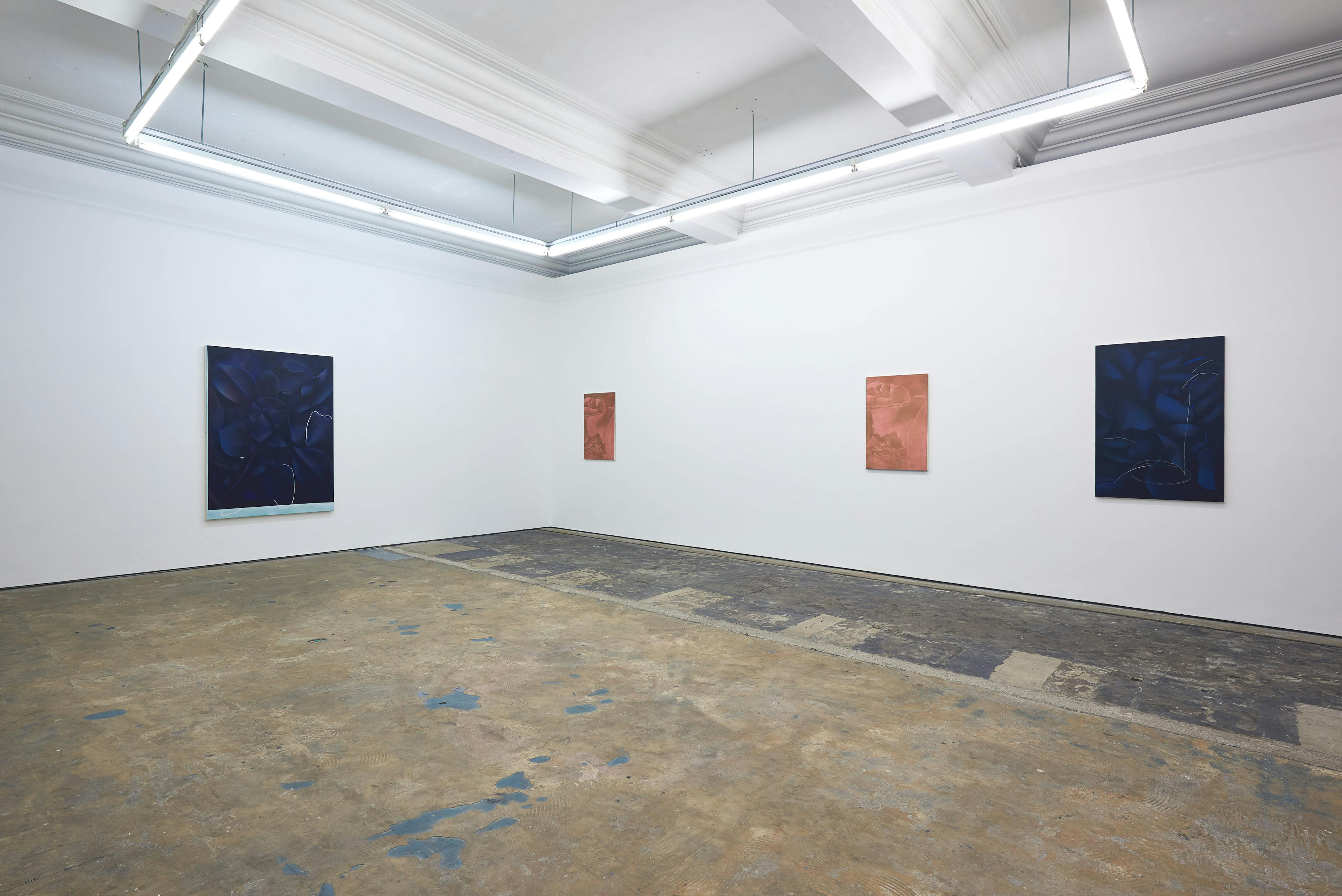 Installation documentation of Louise Giovanelli's 2019 solo exhibition at Workplace Foundation in Gateshead 