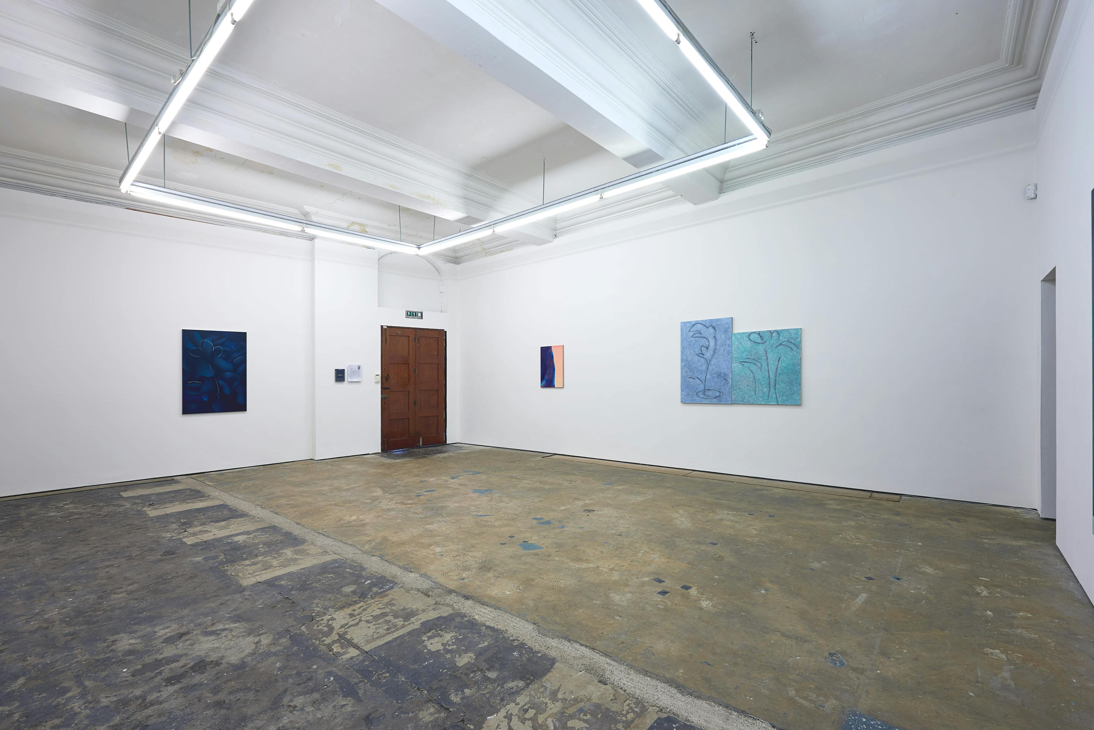 Installation documentation of Louise Giovanelli's 2019 solo exhibition at Workplace Foundation in Gateshead 