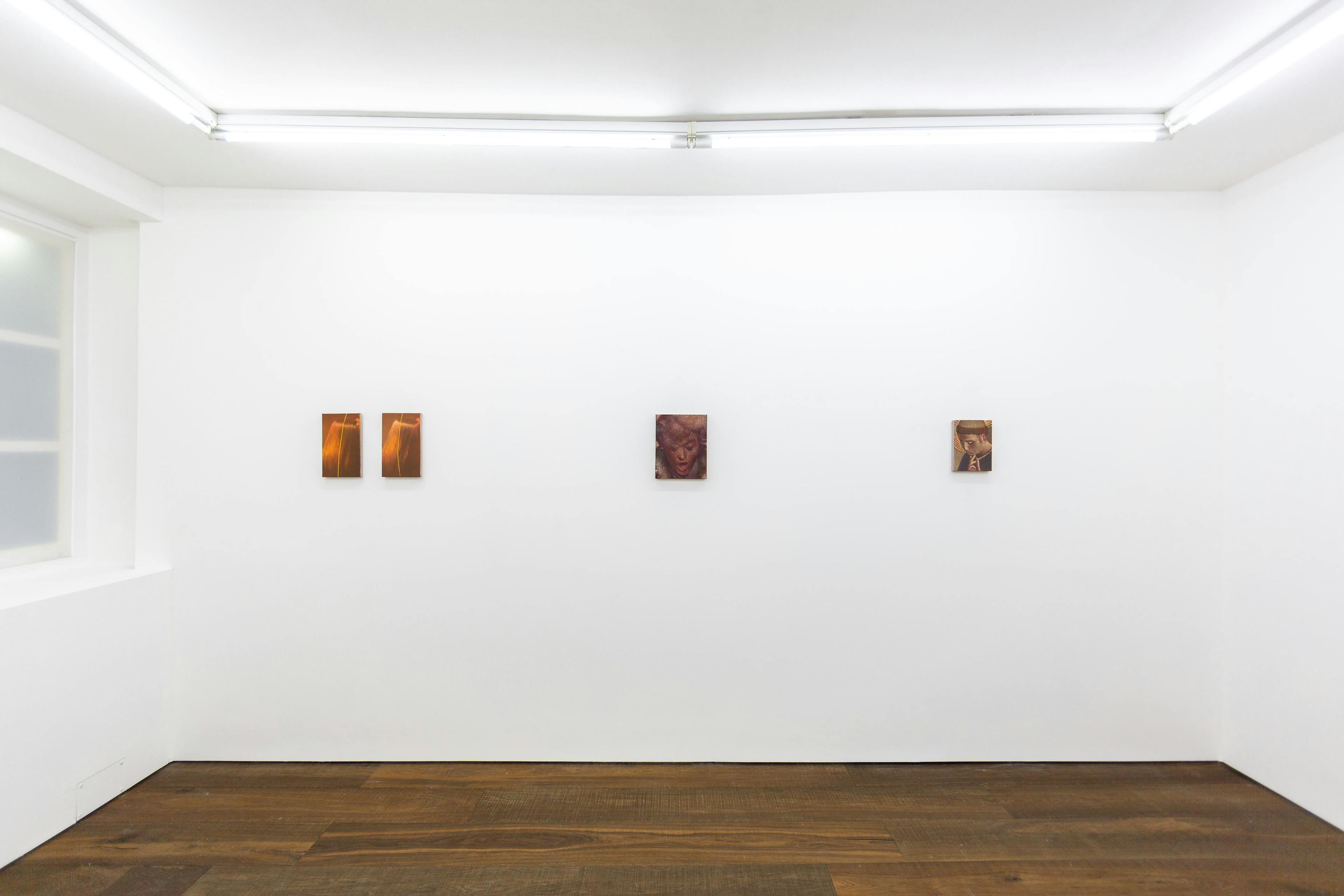 Installation photographs of Louise Giovanelli's exhibition 'in mediās rēs' at Workplace | London