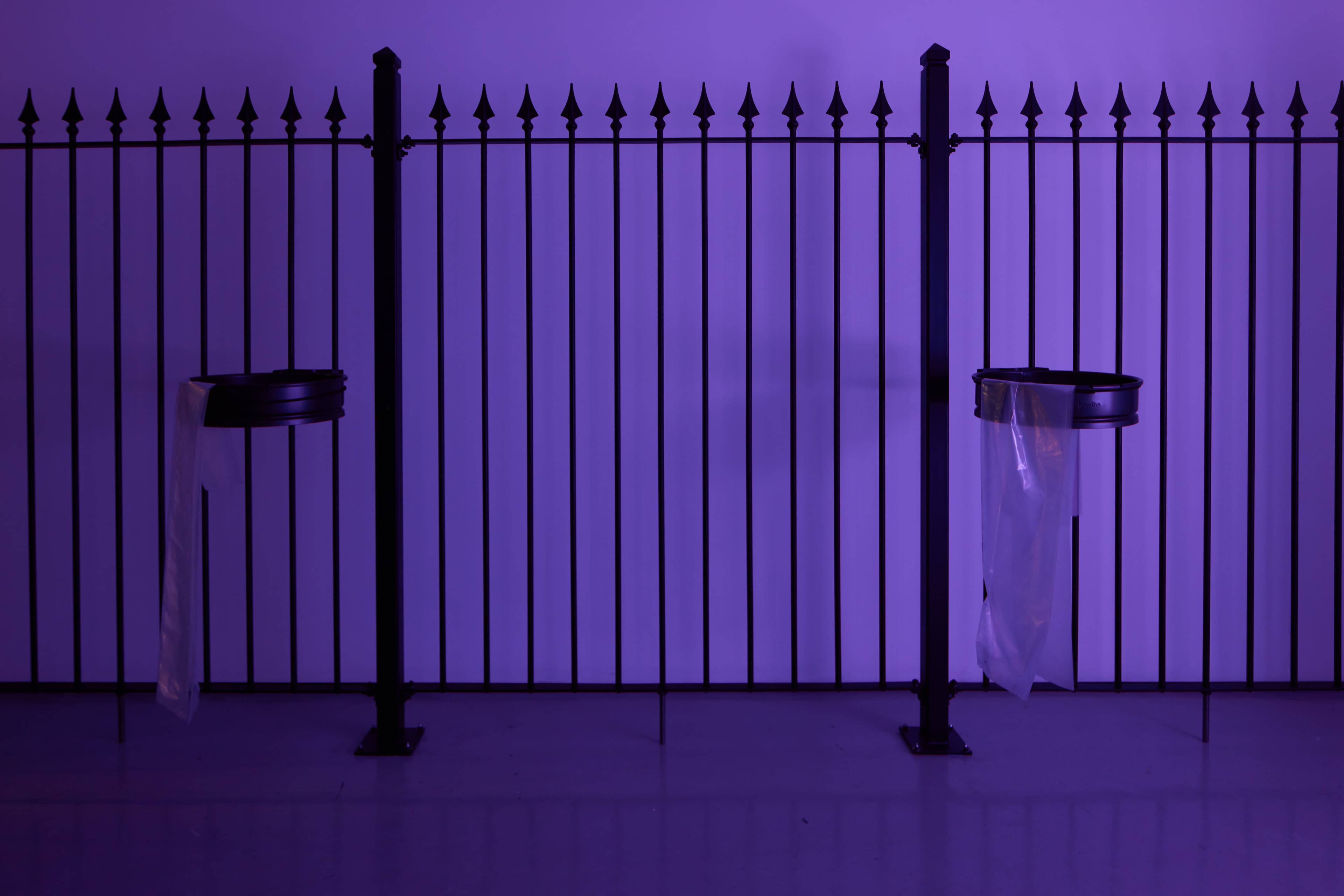 Photograph of ɘɔnɘɔonni Ɉɘɘwƨ llɘwɘяɒʇ, 2023 by Simeon Barclay, consiting of a Metal fence, neon, plastic, metal bin holders, metal fixings. The black metal railings are lit by the purple glow of the neon text. 