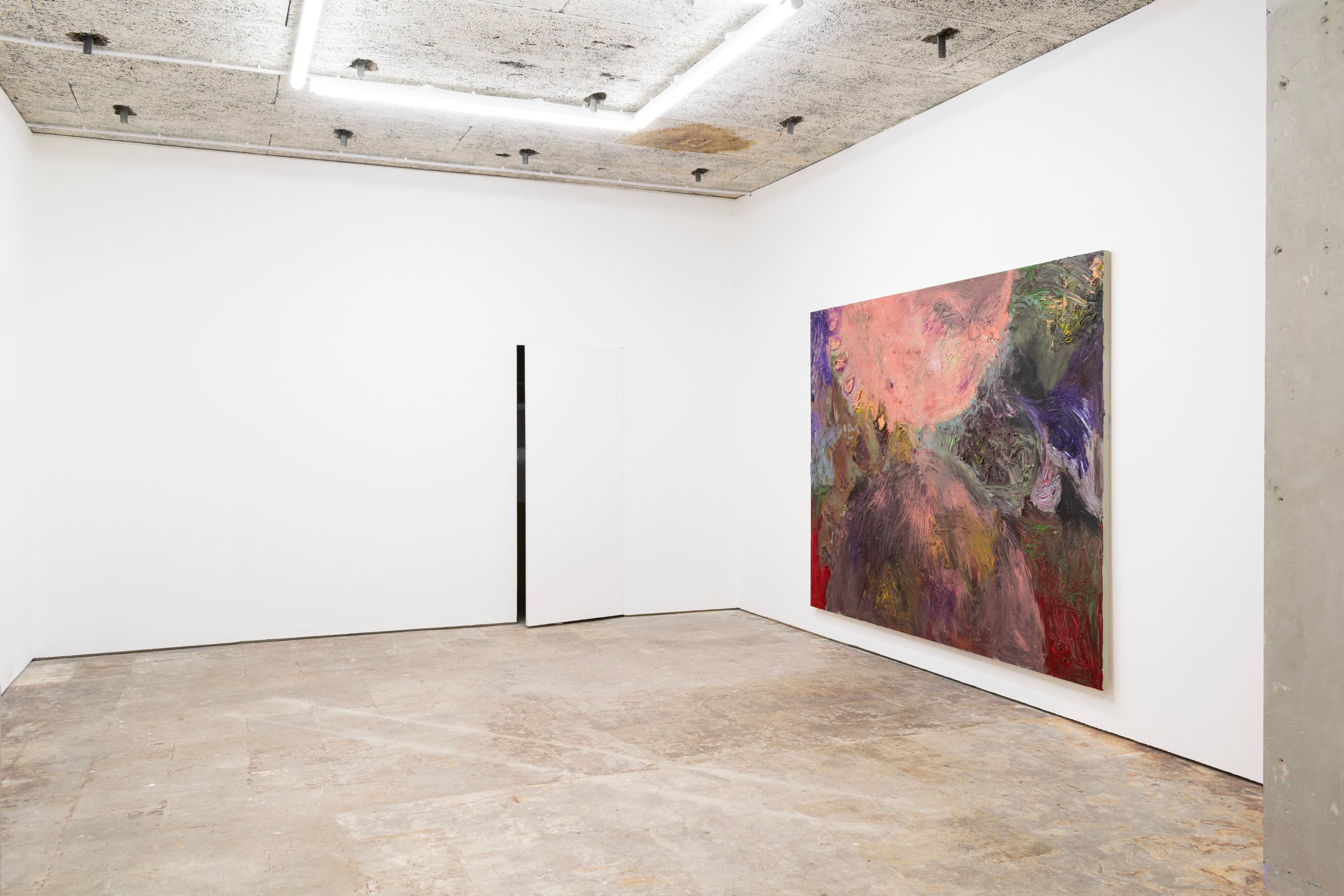 An installation by James Cabaniuk including two large abstract paintings facing one an another