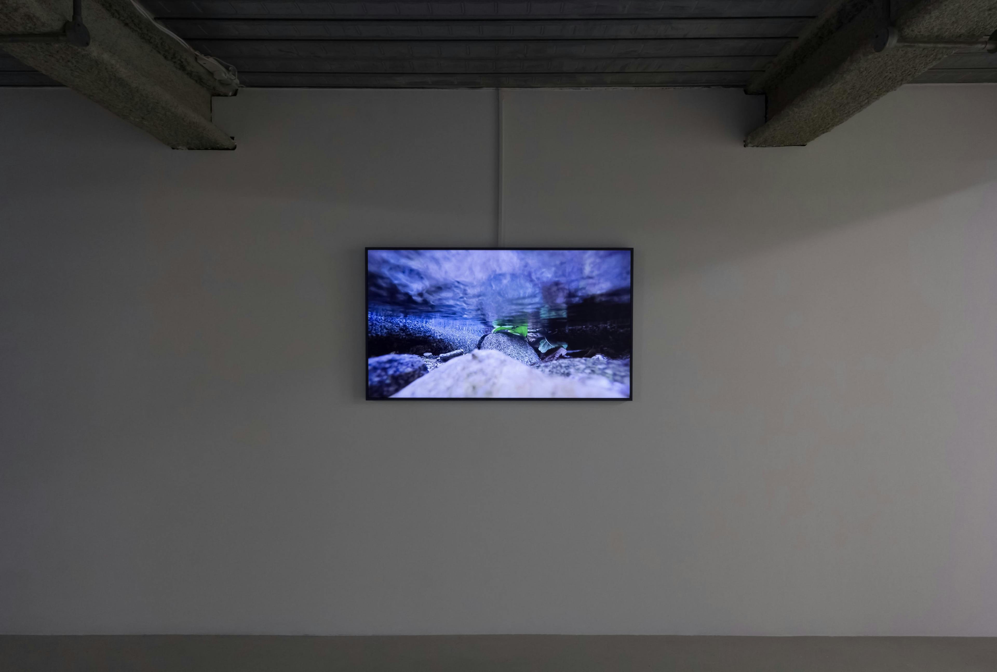 Installation documentation of Joel Kyack's exhibition "Hold On Tightly / Let Go Lightly" at Workplace | London