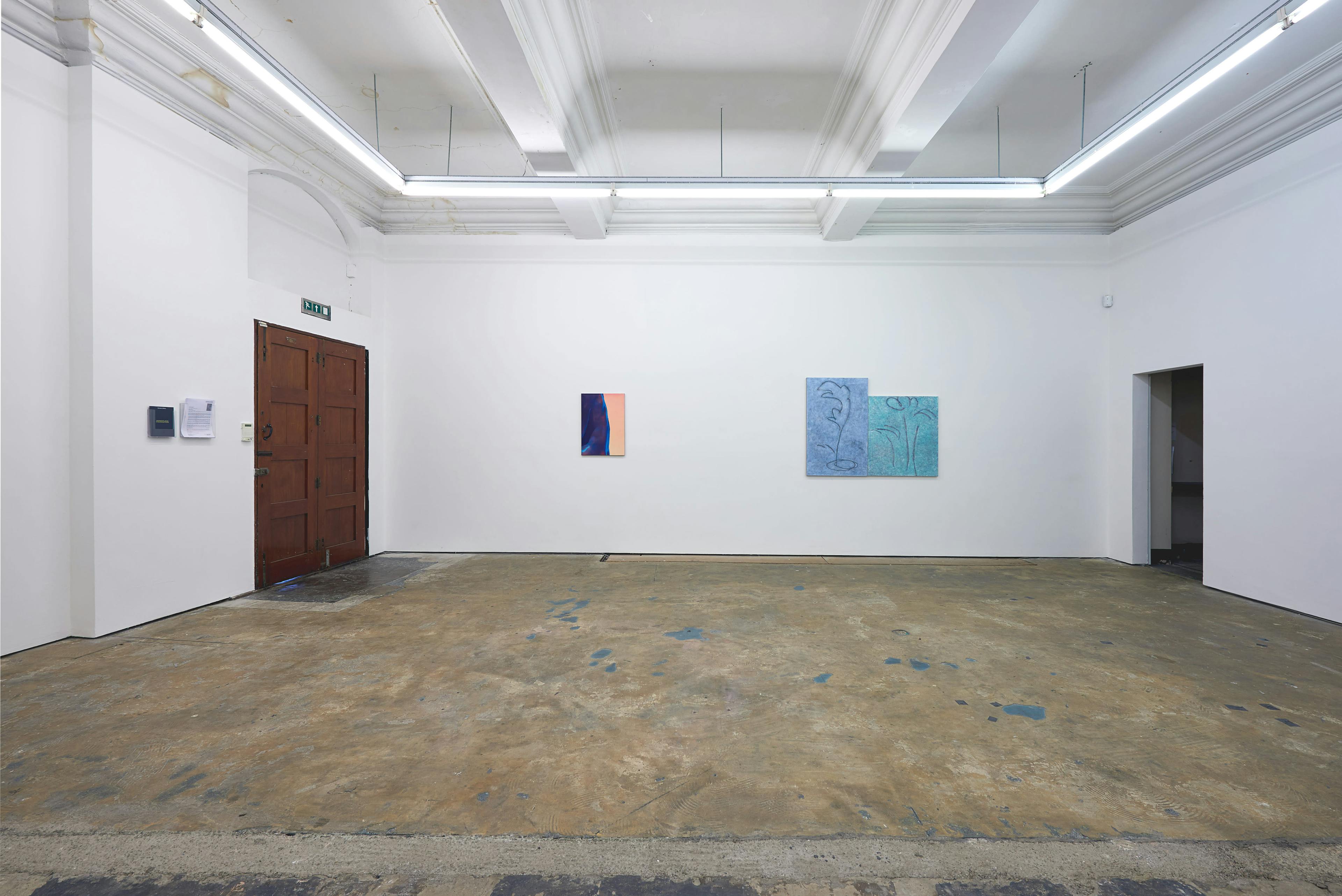 Installation documentation of Louise Giovanelli's 2019 solo exhibition at Workplace Foundation in Gateshead 