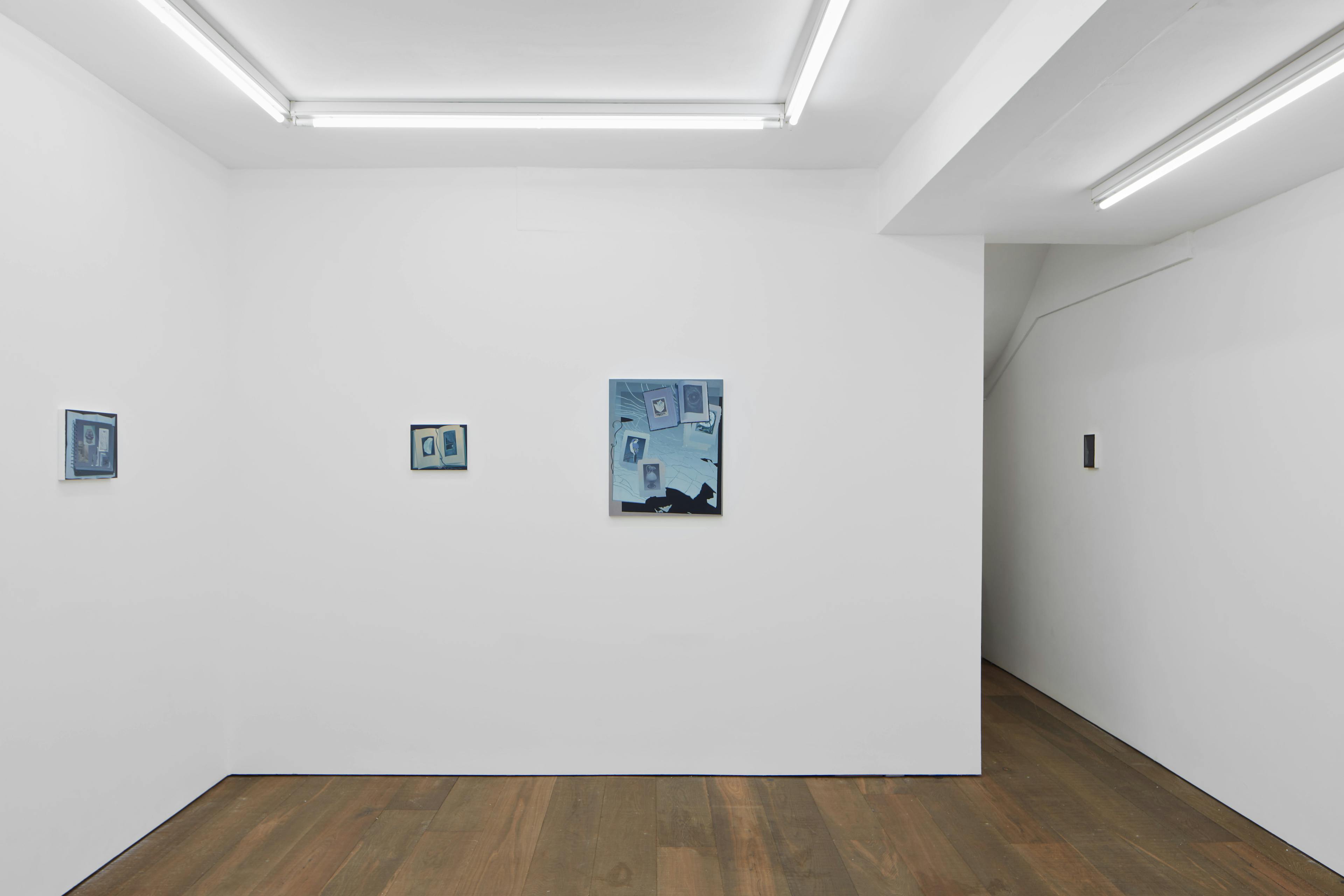 Installation shots of Olivia Jia's solo exhibition Ex Libris, at Workplace | London