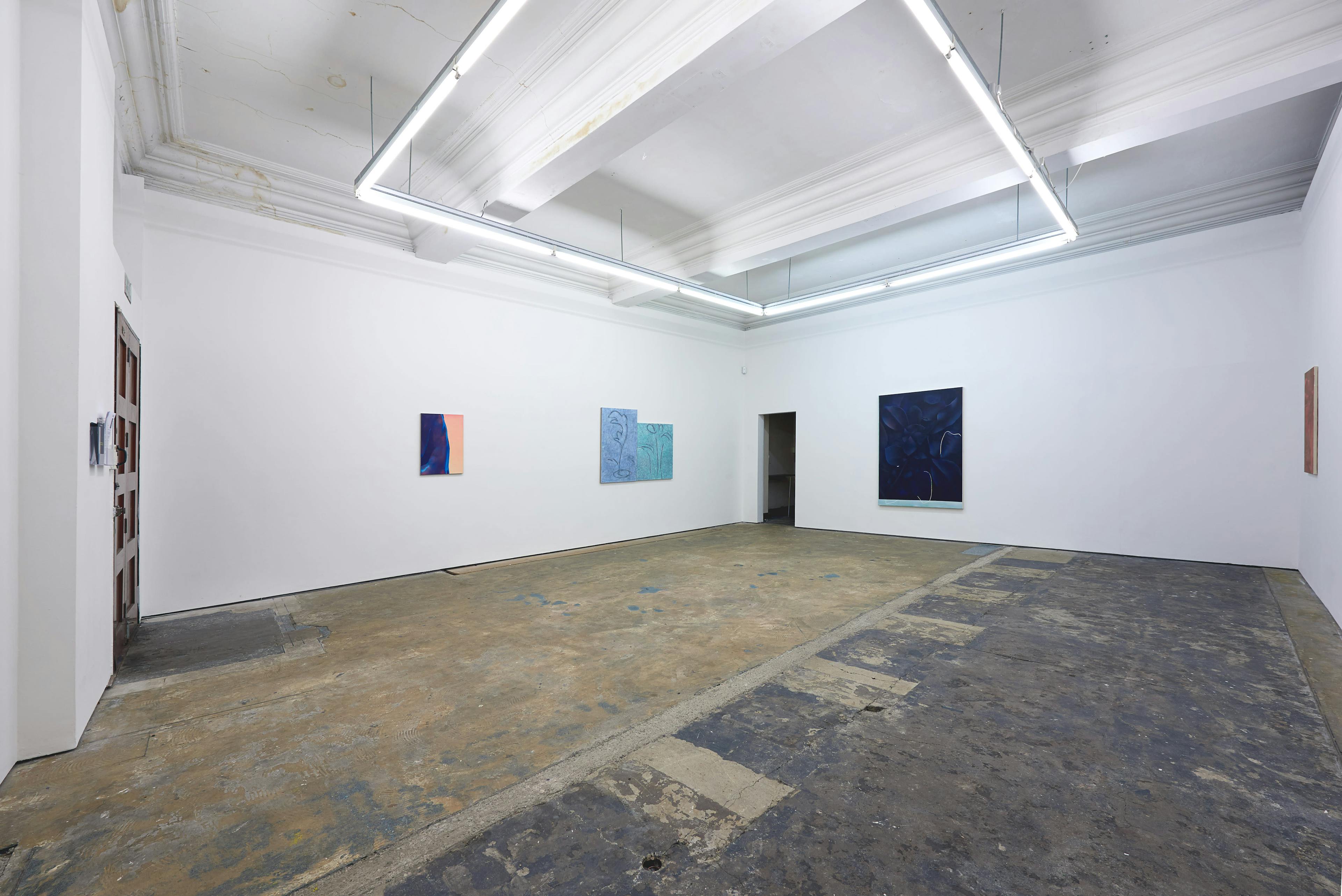 Installation documentation of Louise Giovanelli's 2019 solo exhibition at Workplace Foundation in Gateshead 