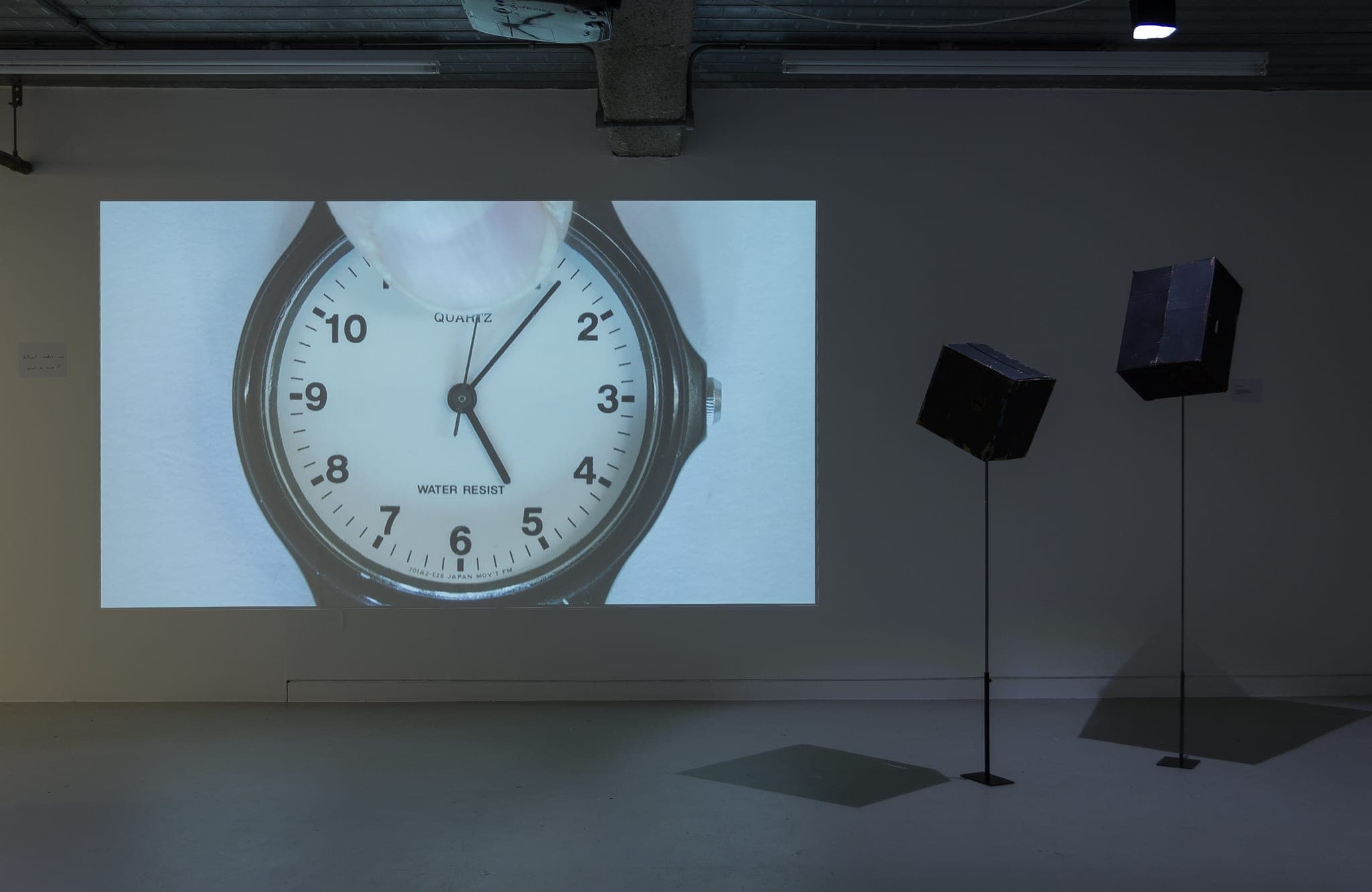 Installation images of Marcus Coates at Workplace | London