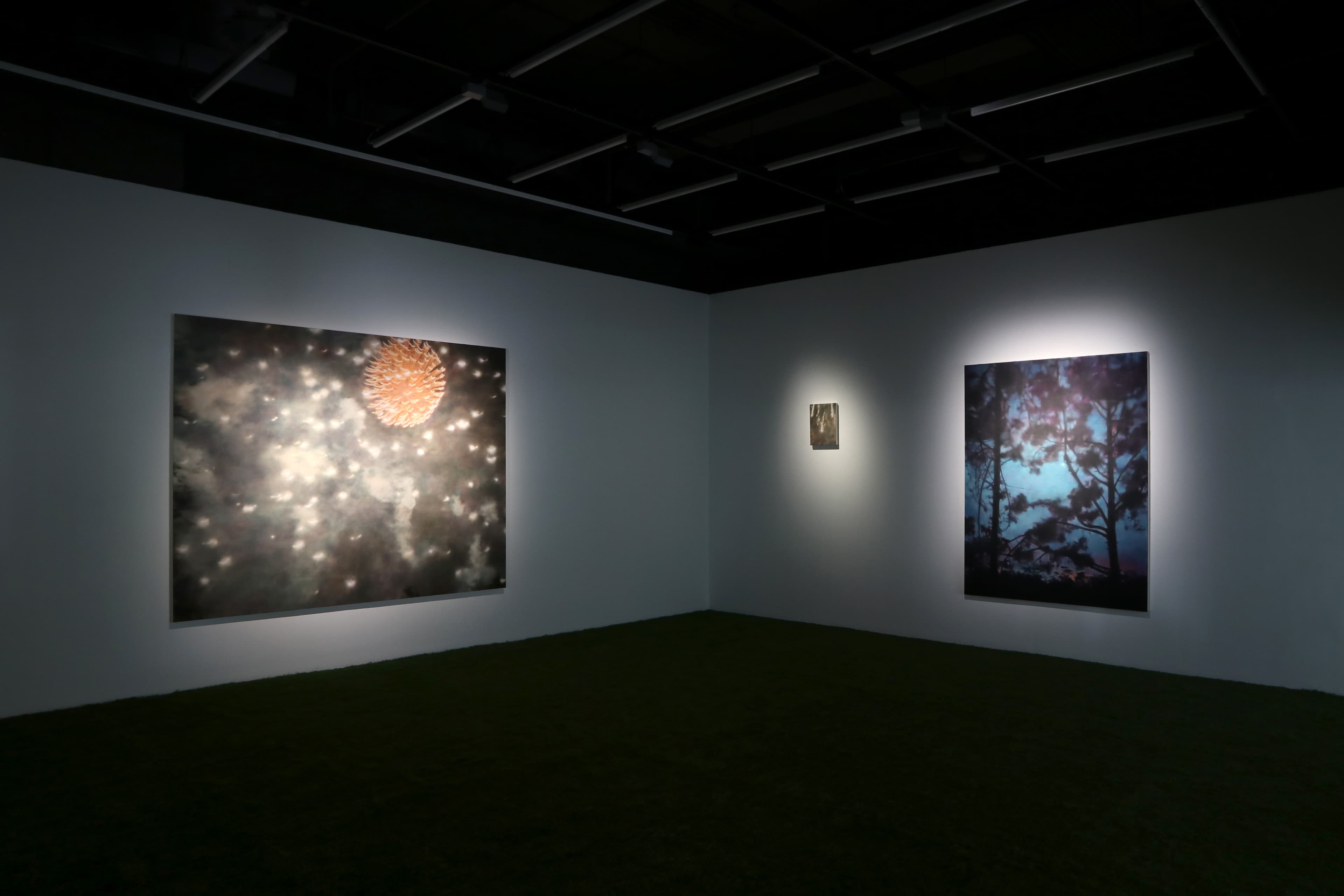 Installation view of a dark room with paintings by James Prapaithong softly spotlit