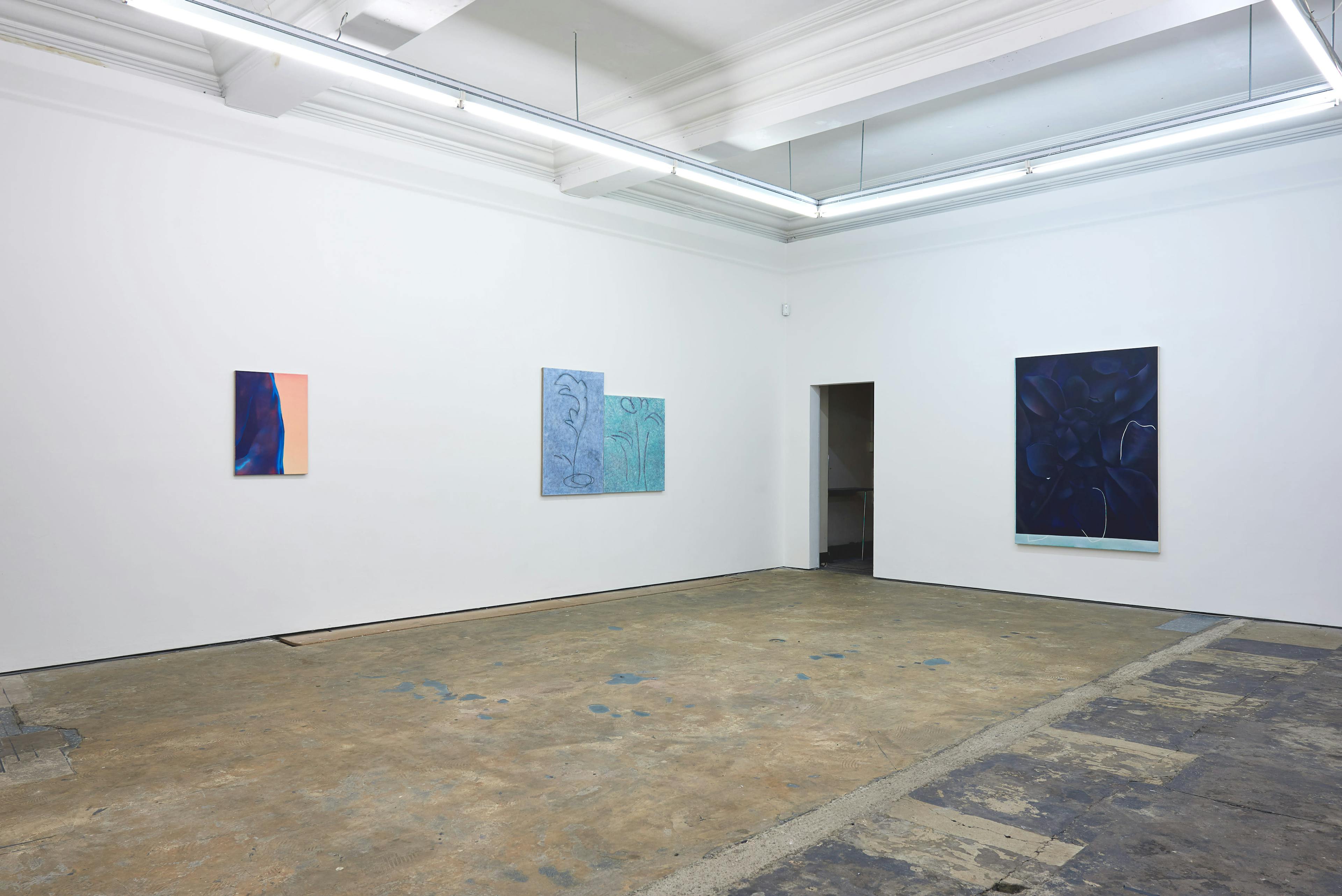 Installation documentation of Louise Giovanelli's 2019 solo exhibition at Workplace Foundation in Gateshead 