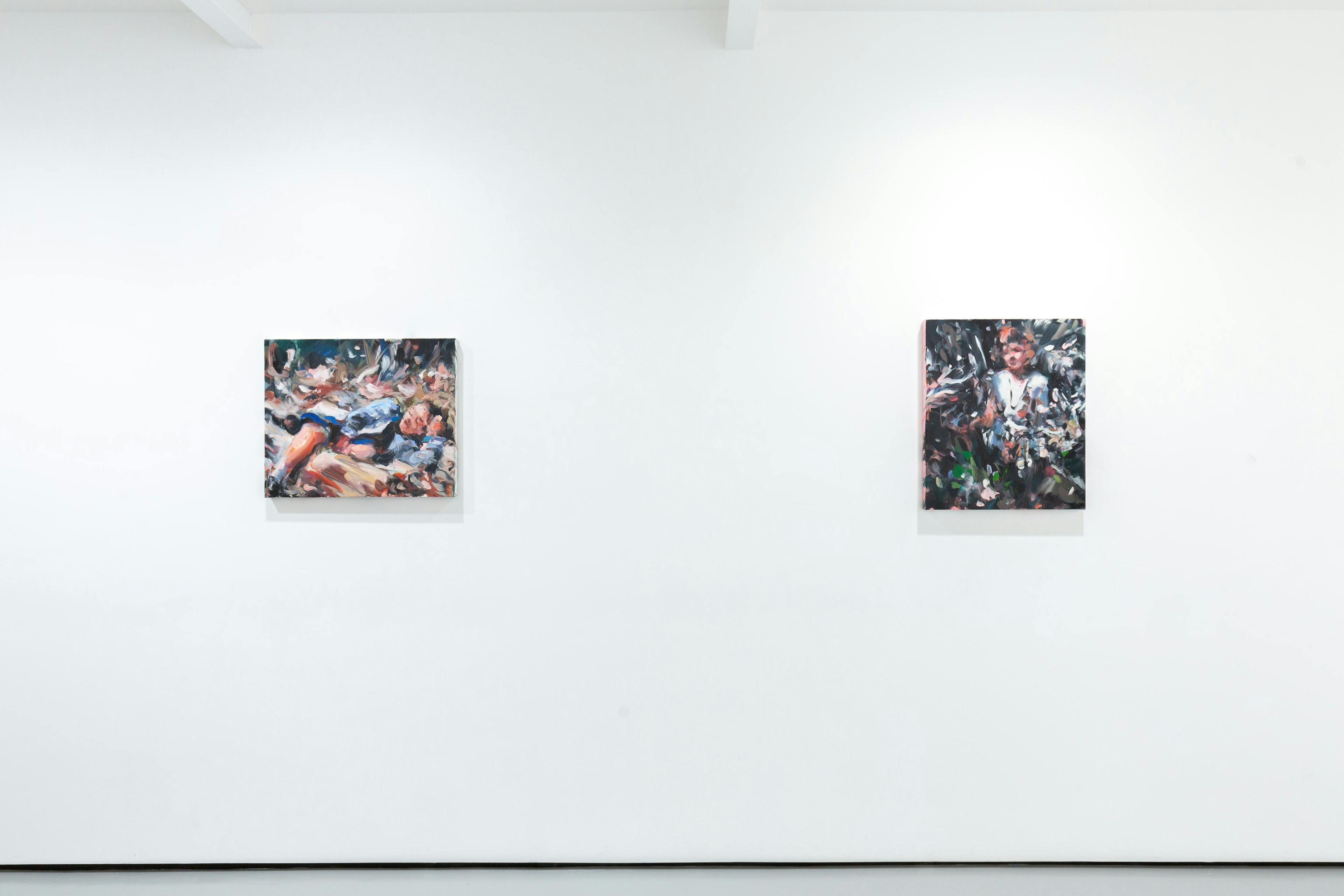 Installation shots of Laura Lancasters solo exhibition 'In Dreams' at Workplace | London