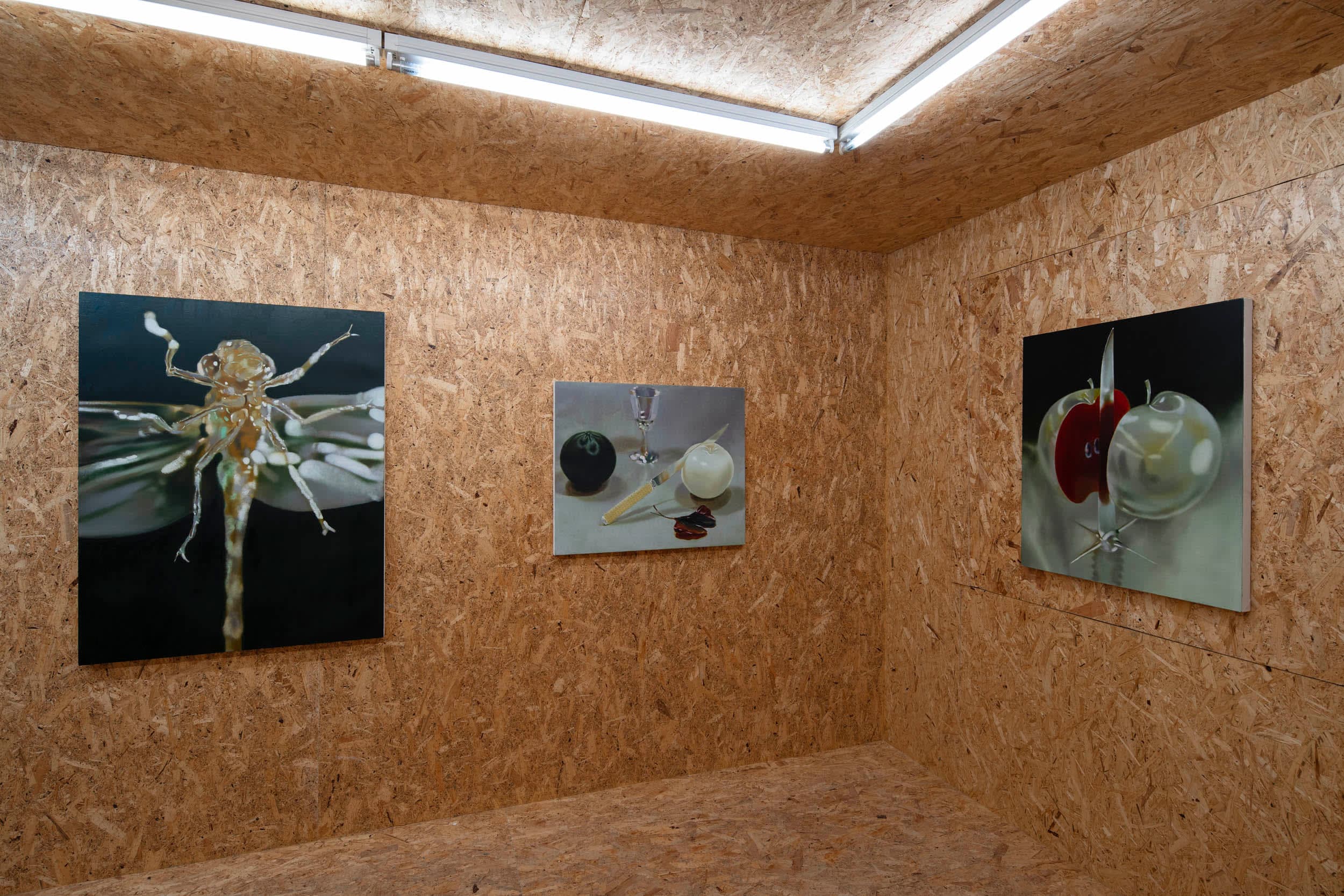 An exhibition of paintings and a video by Robin Megannity in a chipboard clad gallery space