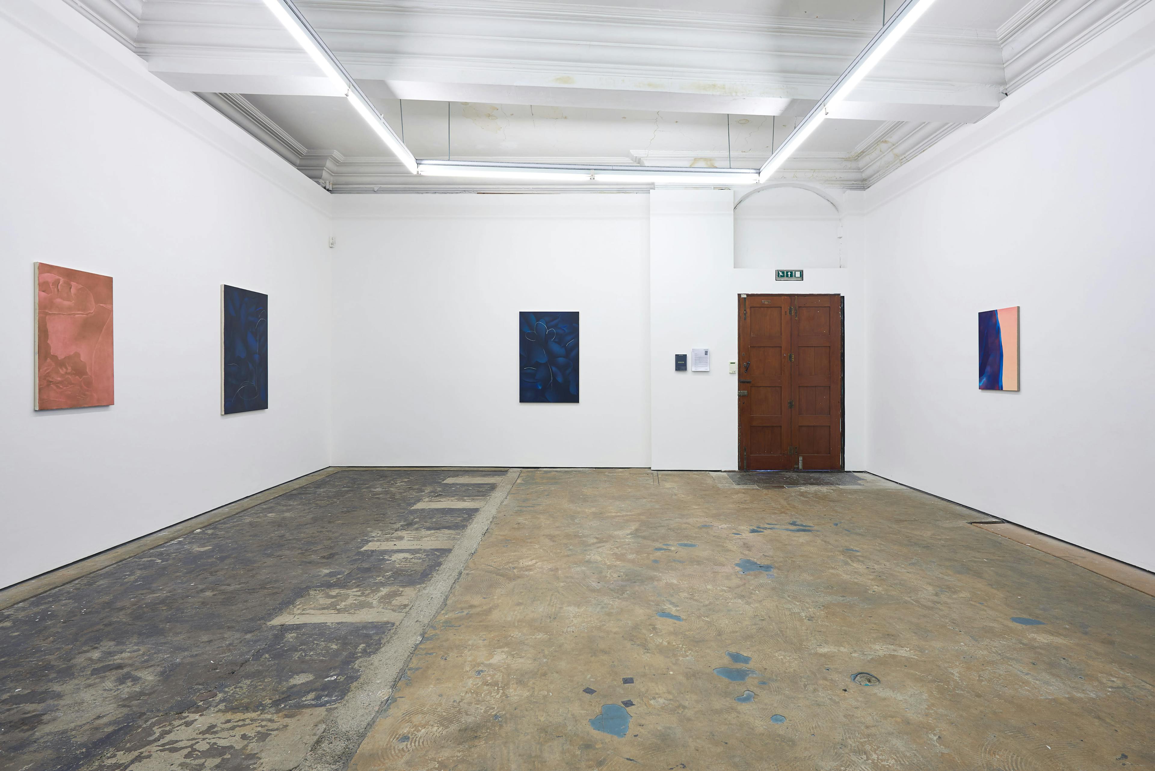 Installation documentation of Louise Giovanelli's 2019 solo exhibition at Workplace Foundation in Gateshead 