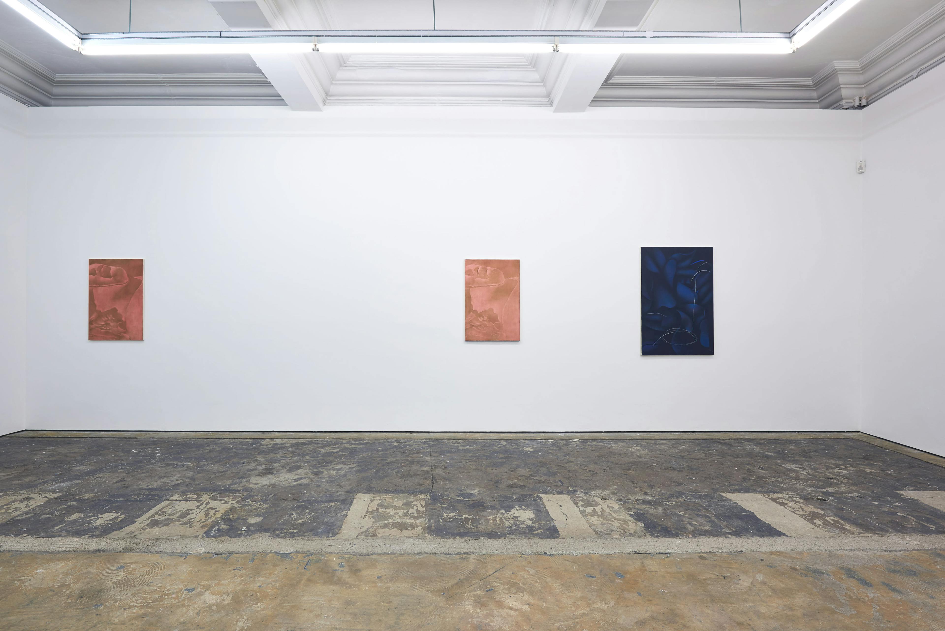 Installation documentation of Louise Giovanelli's 2019 solo exhibition at Workplace Foundation in Gateshead 