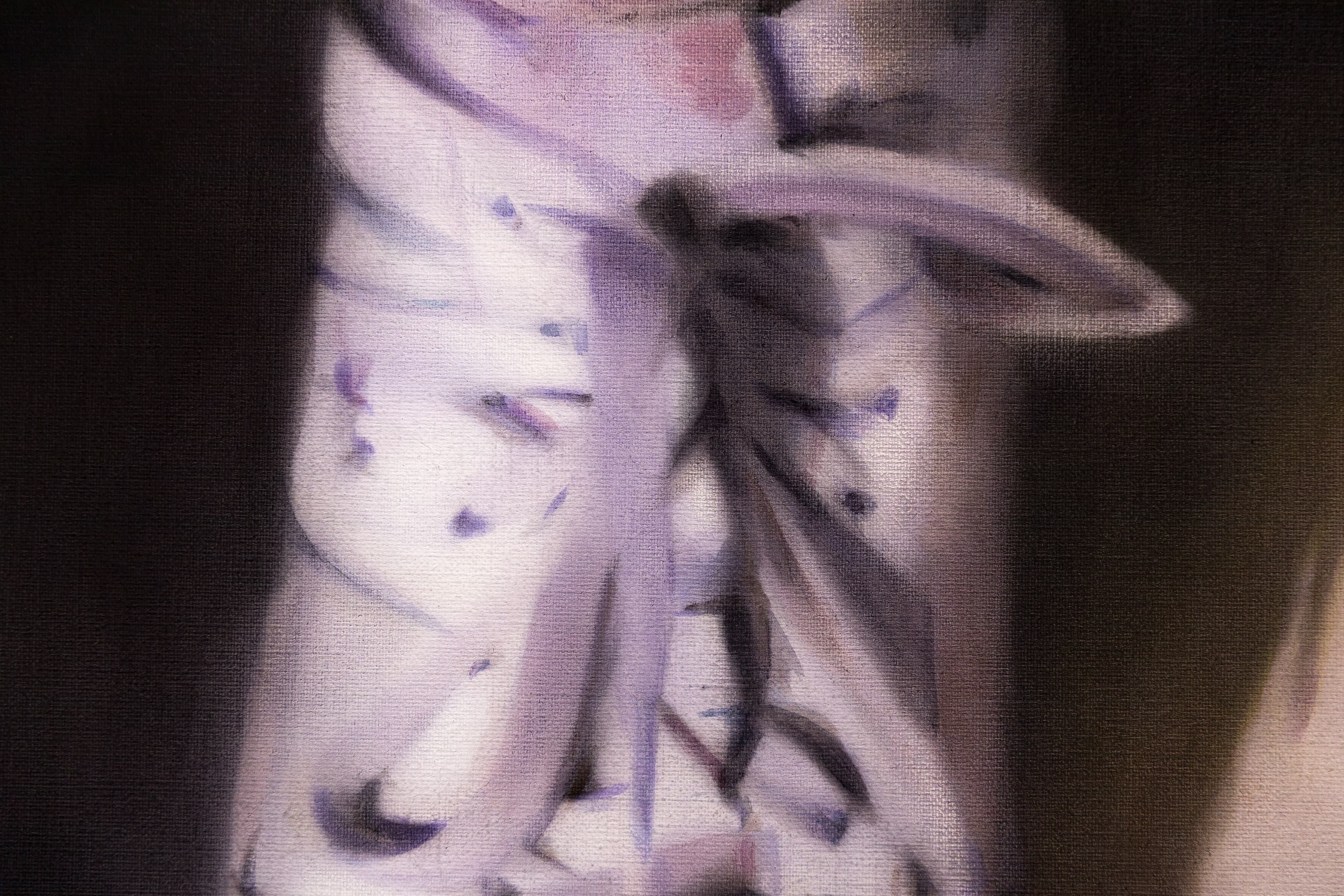 Detail shot of a painting of a pair of white training shoes from above