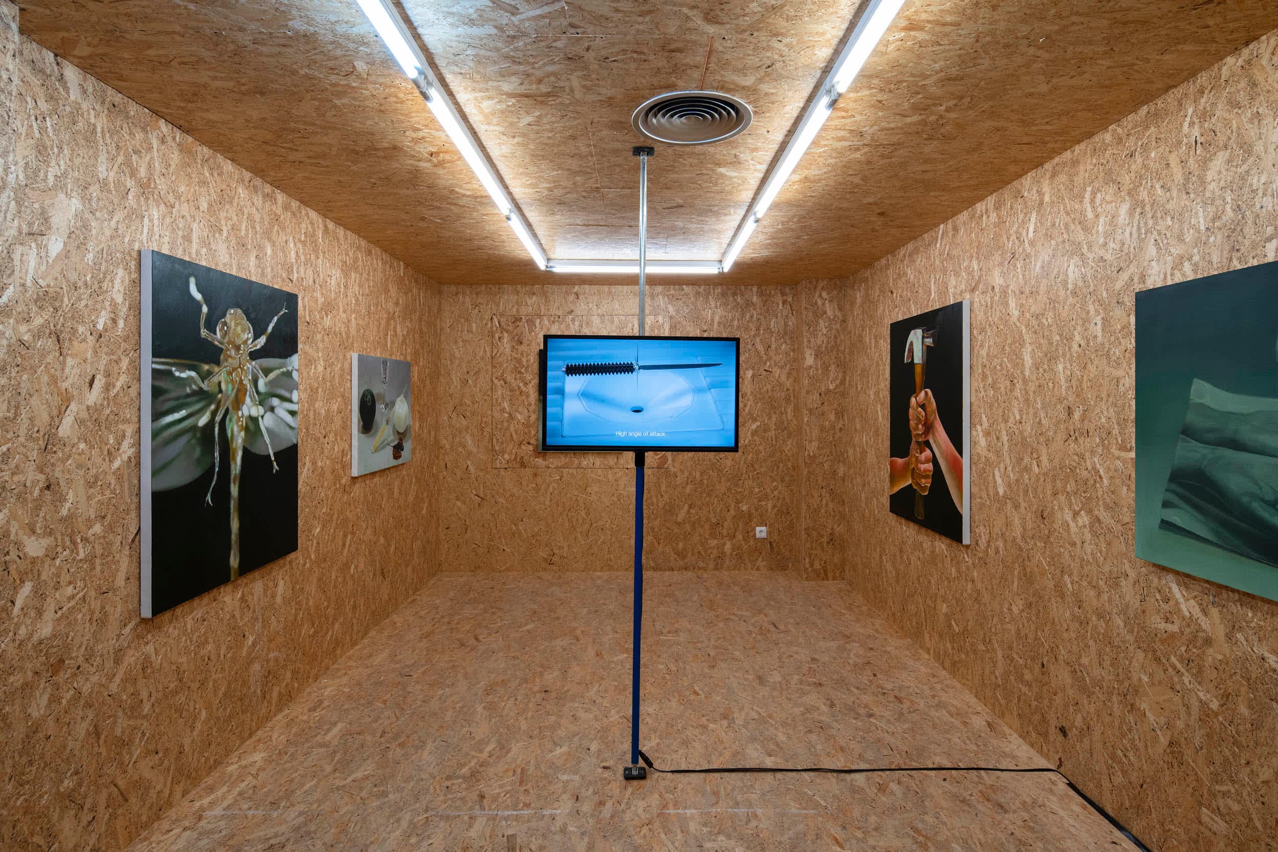 An exhibition of paintings and a video by Robin Megannity in a chipboard clad gallery space