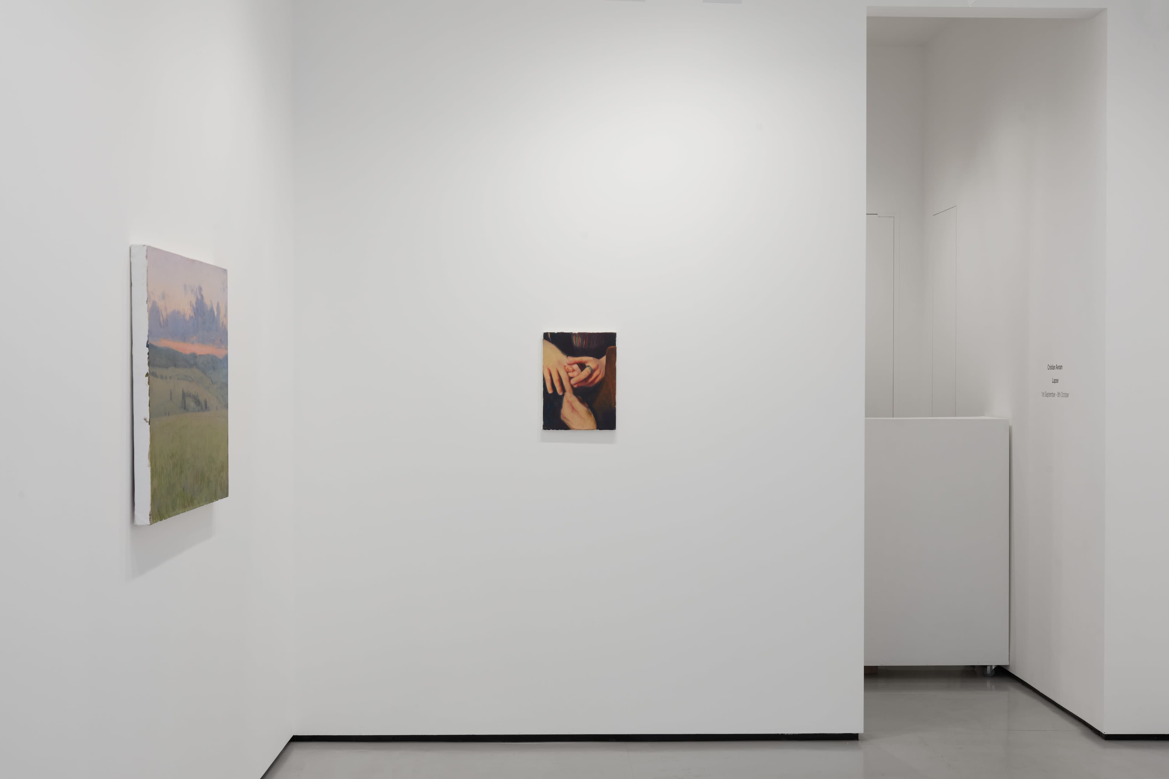 Installation shots of Cristian Avram's exhibition 'Lapse' at Workplace in London. An exhibition of oil paintings in a minimal white gallery space. 