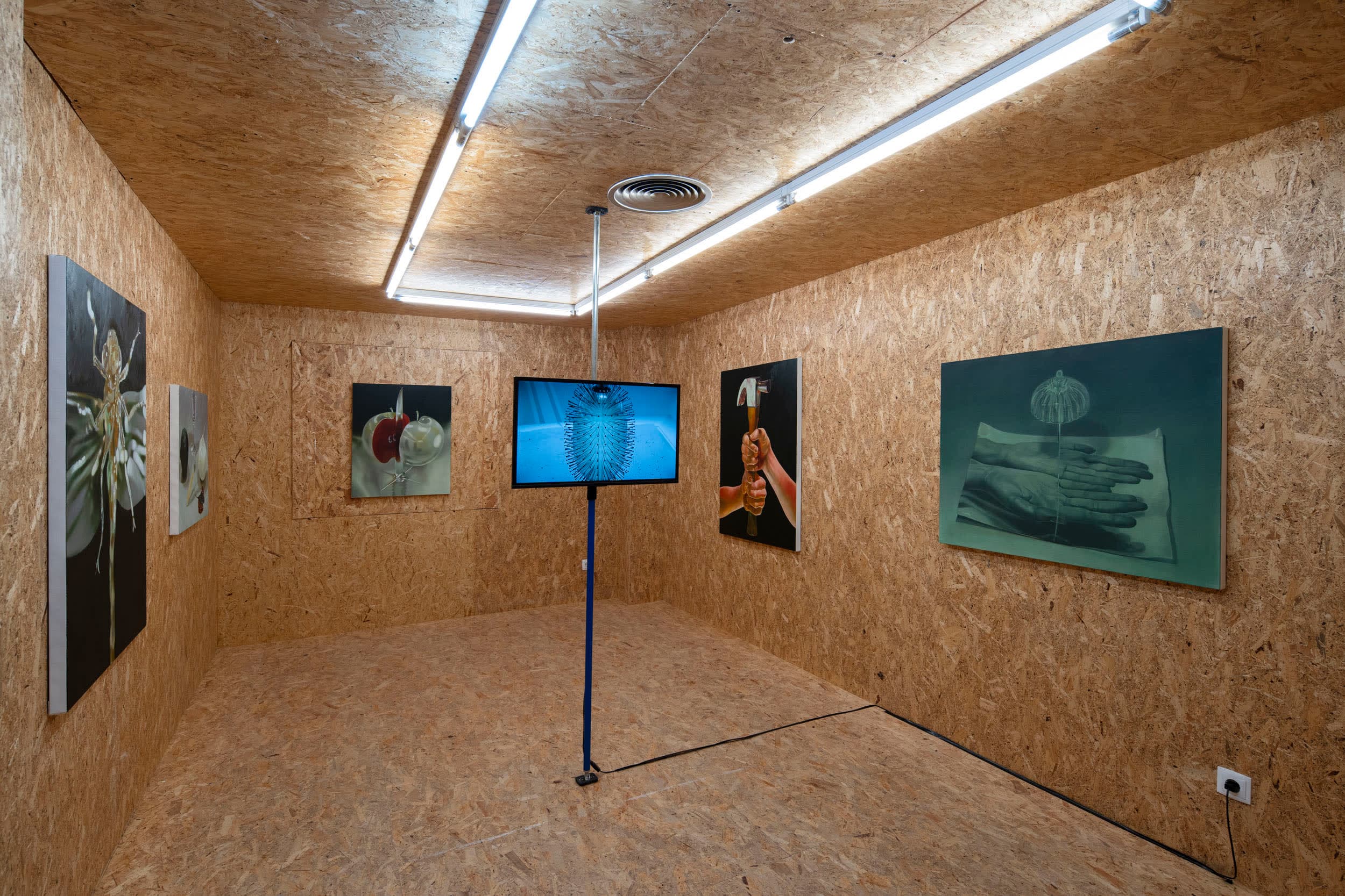 An exhibition of paintings and a video by Robin Megannity in a chipboard clad gallery space