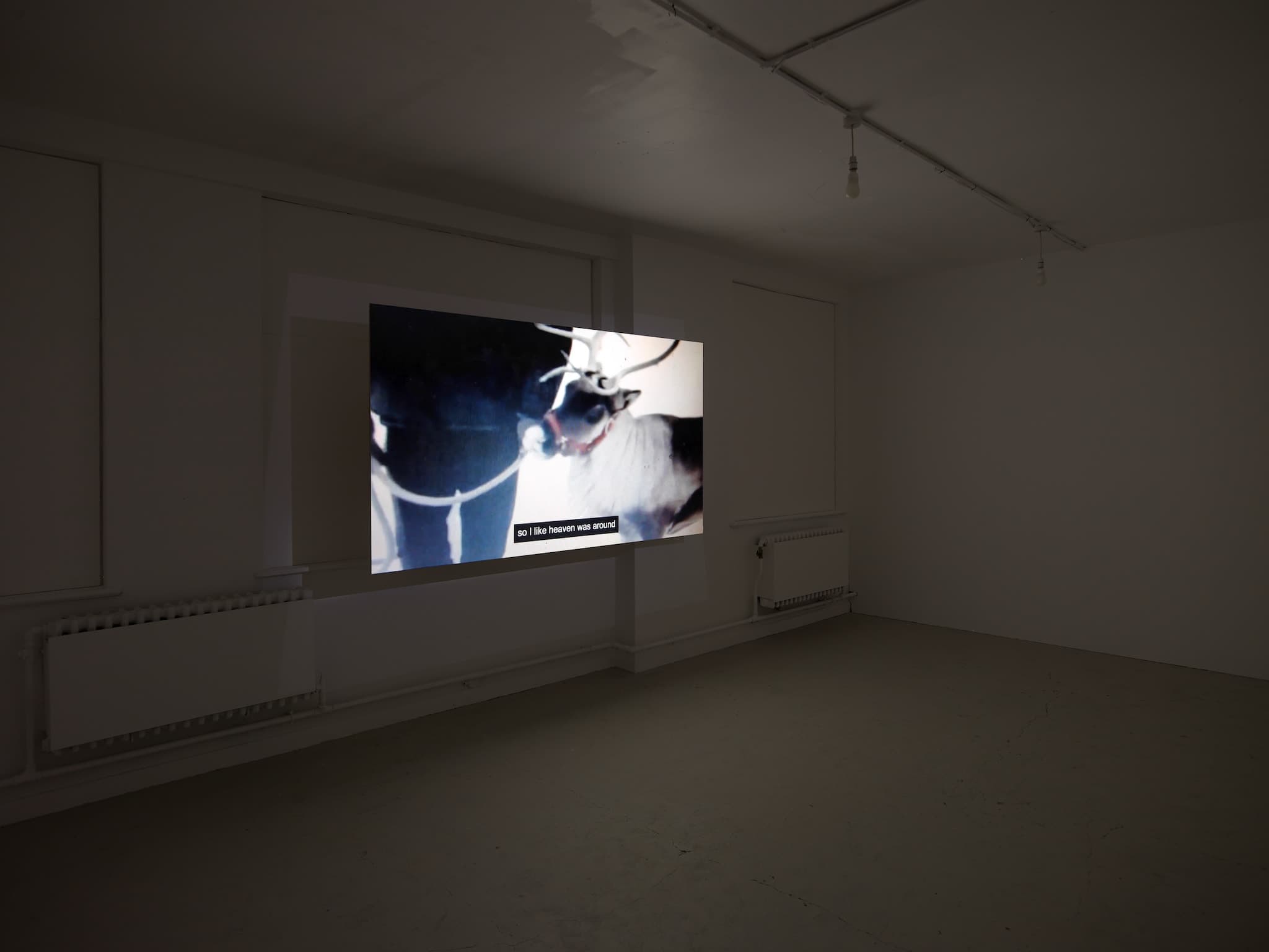 installation images of Cath Campbell's exhibition 'Everything we do corrects the space' at Workplace Gateshead