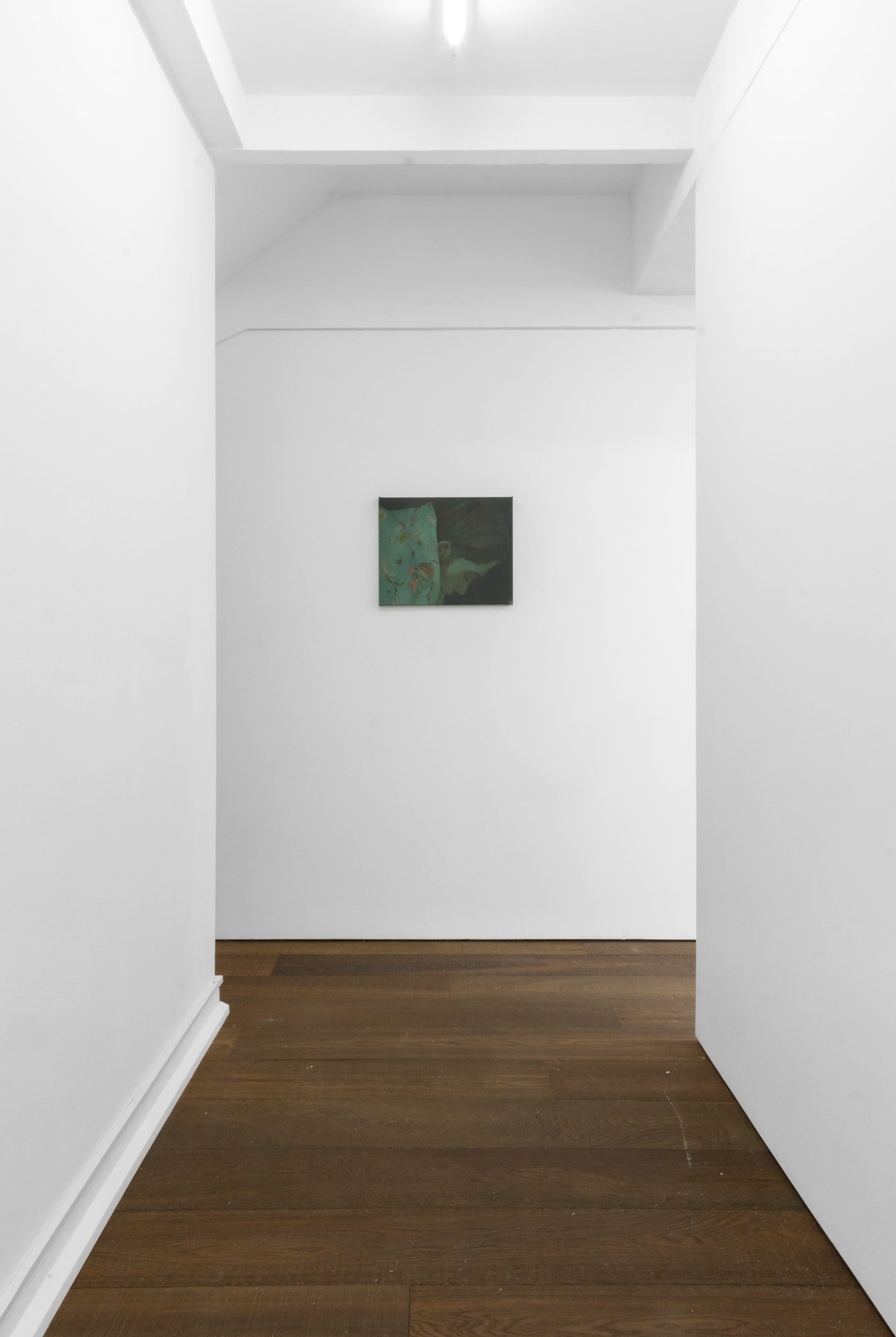 Installation shots of Katinka Lampe's exhibition 'Anima Mundi' at Workplace | London