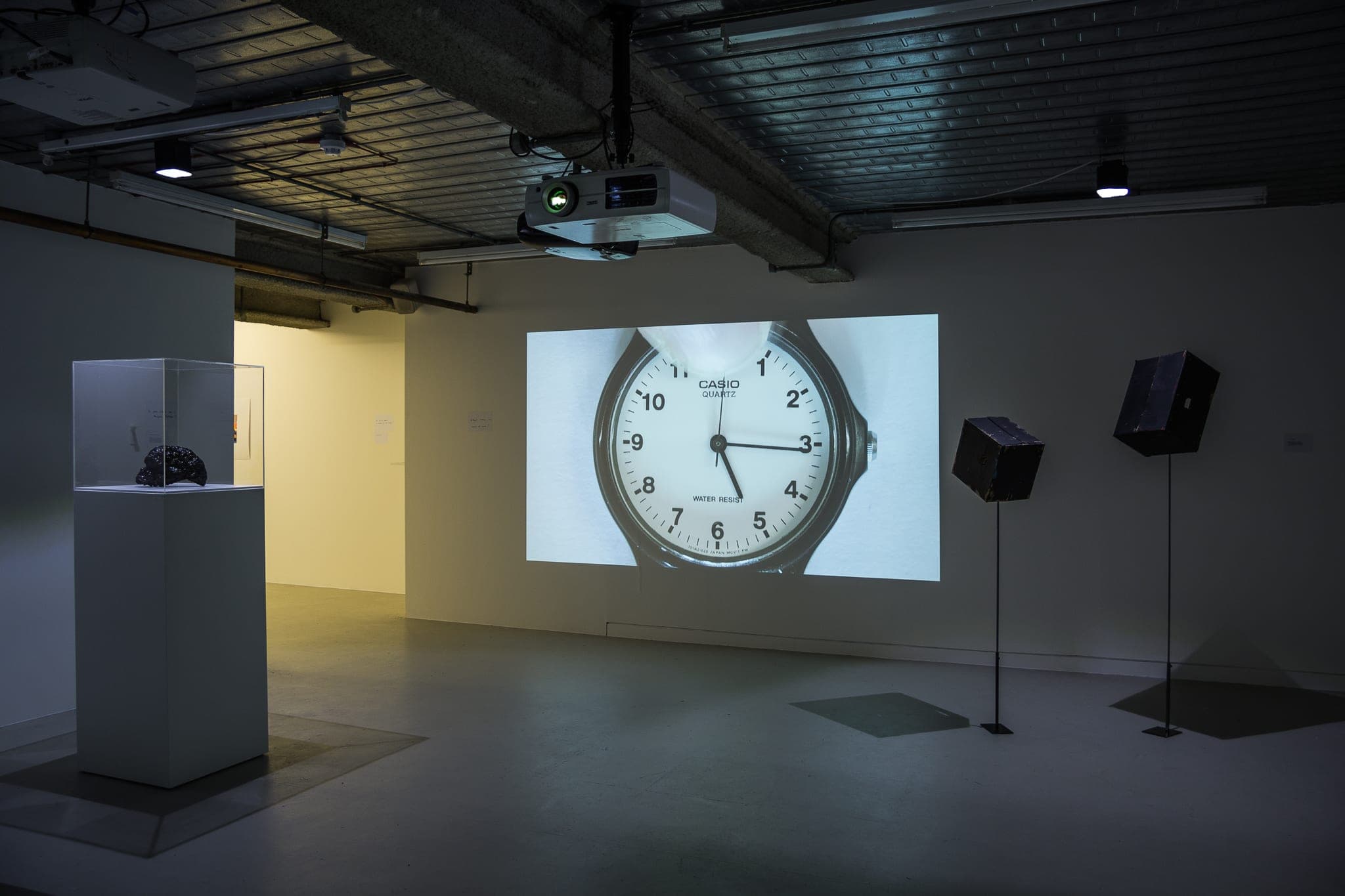 Installation images of Marcus Coates at Workplace | London