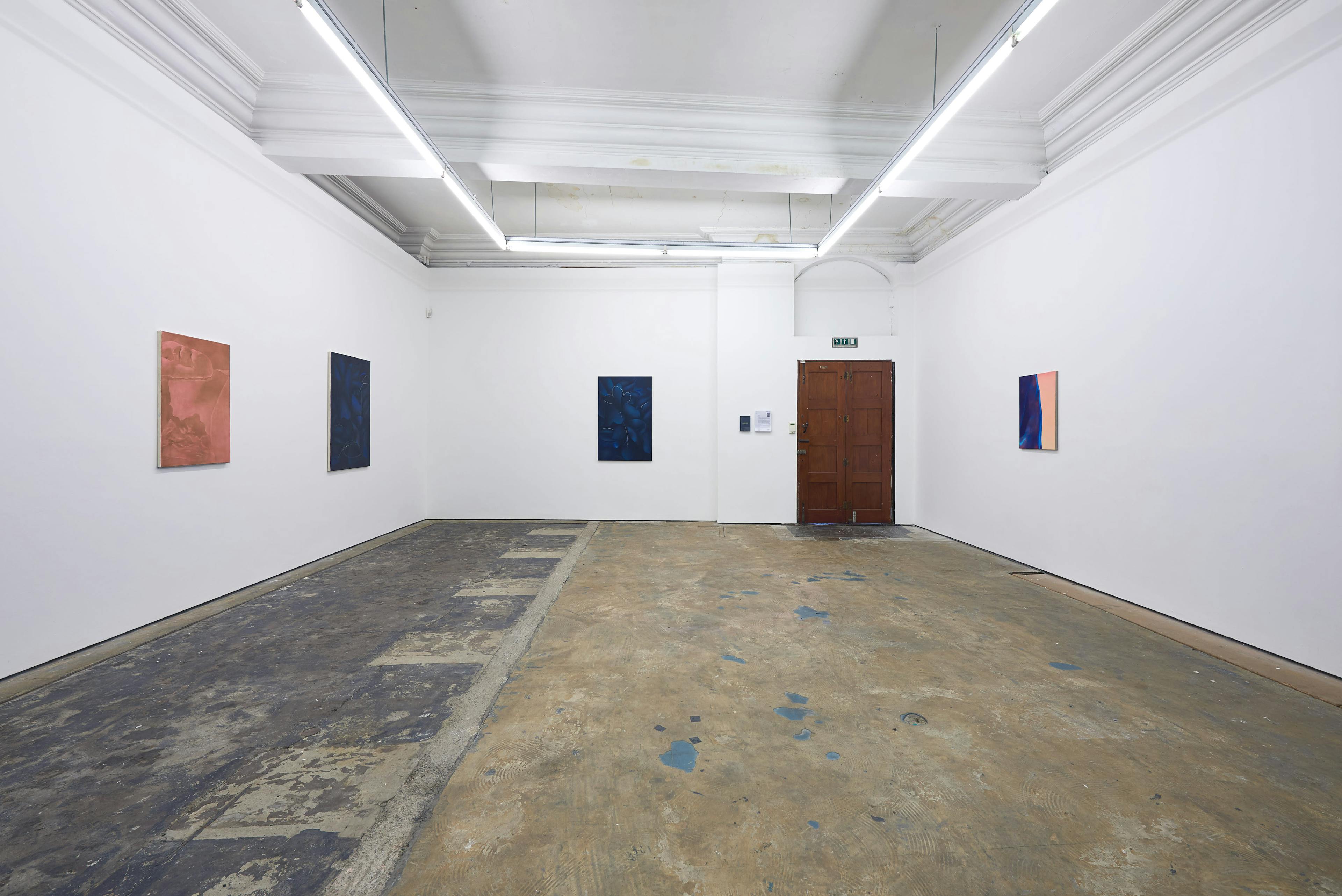 Installation documentation of Louise Giovanelli's 2019 solo exhibition at Workplace Foundation in Gateshead 