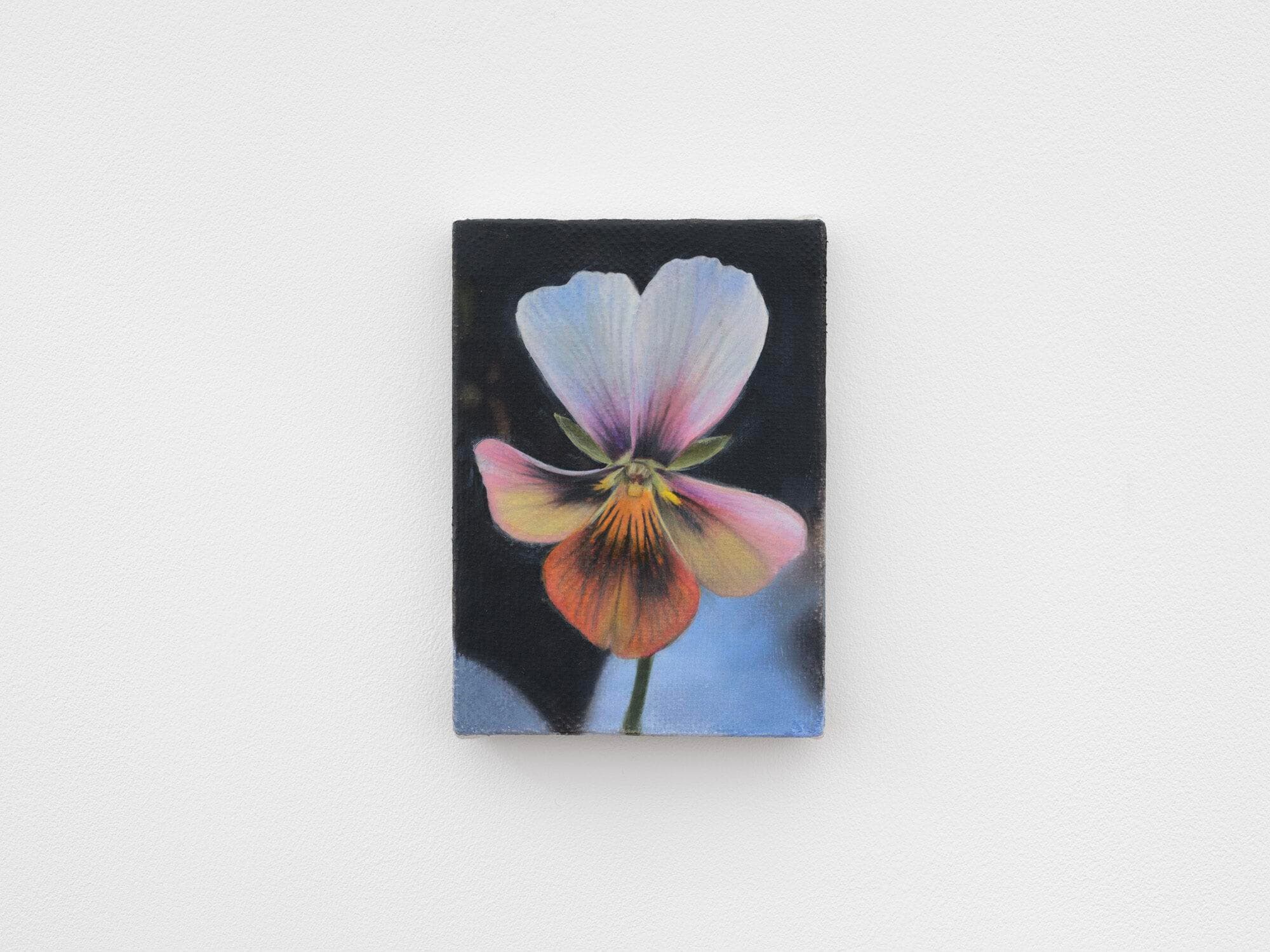 A painting of a flower against a black background by Joseph Jones