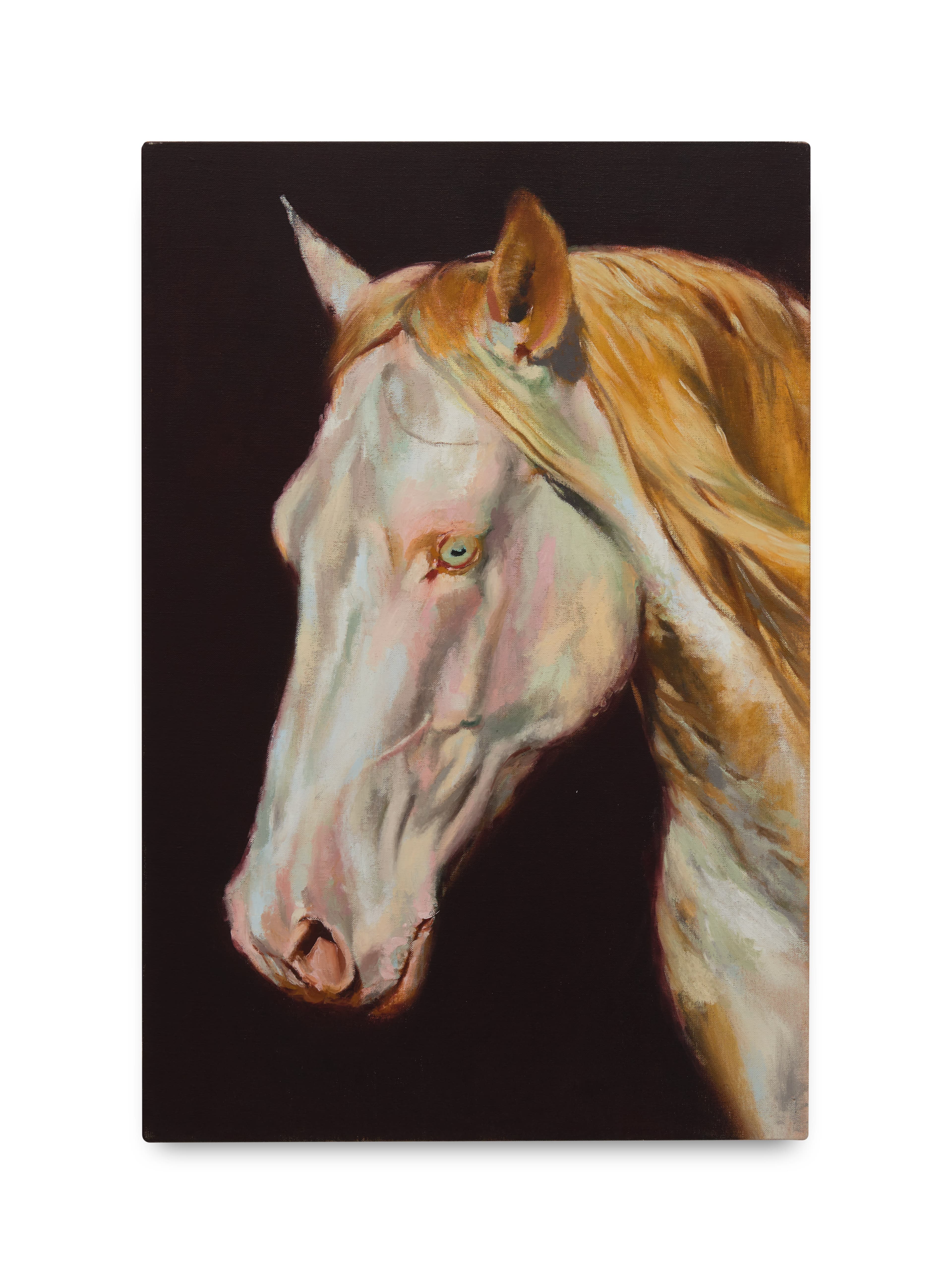 Oil on linen painting of a white horse 