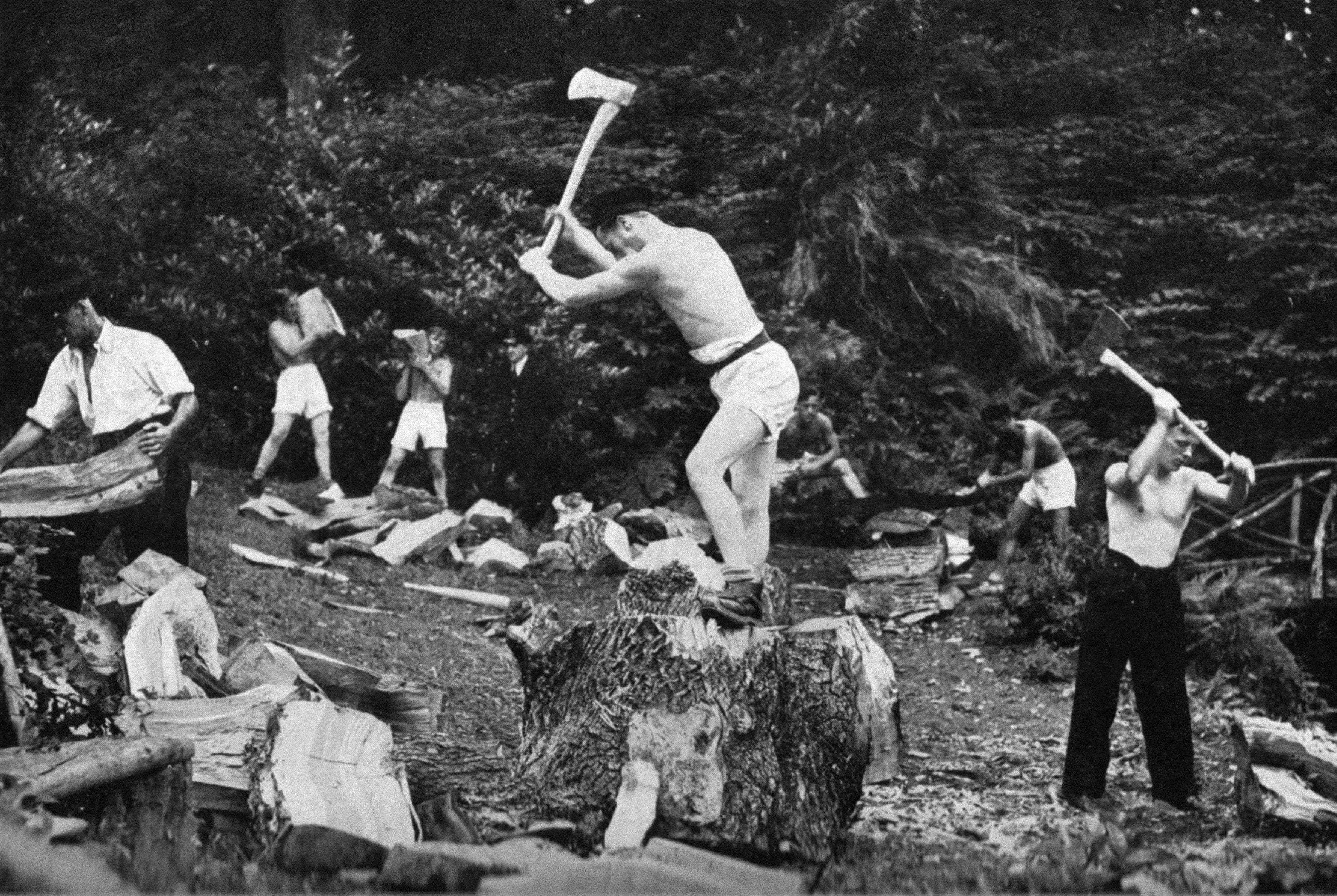 an antique black and white photograph of white men stripped topless engaging in physical activity, in the centre a man holds an axe aloft to split logs 