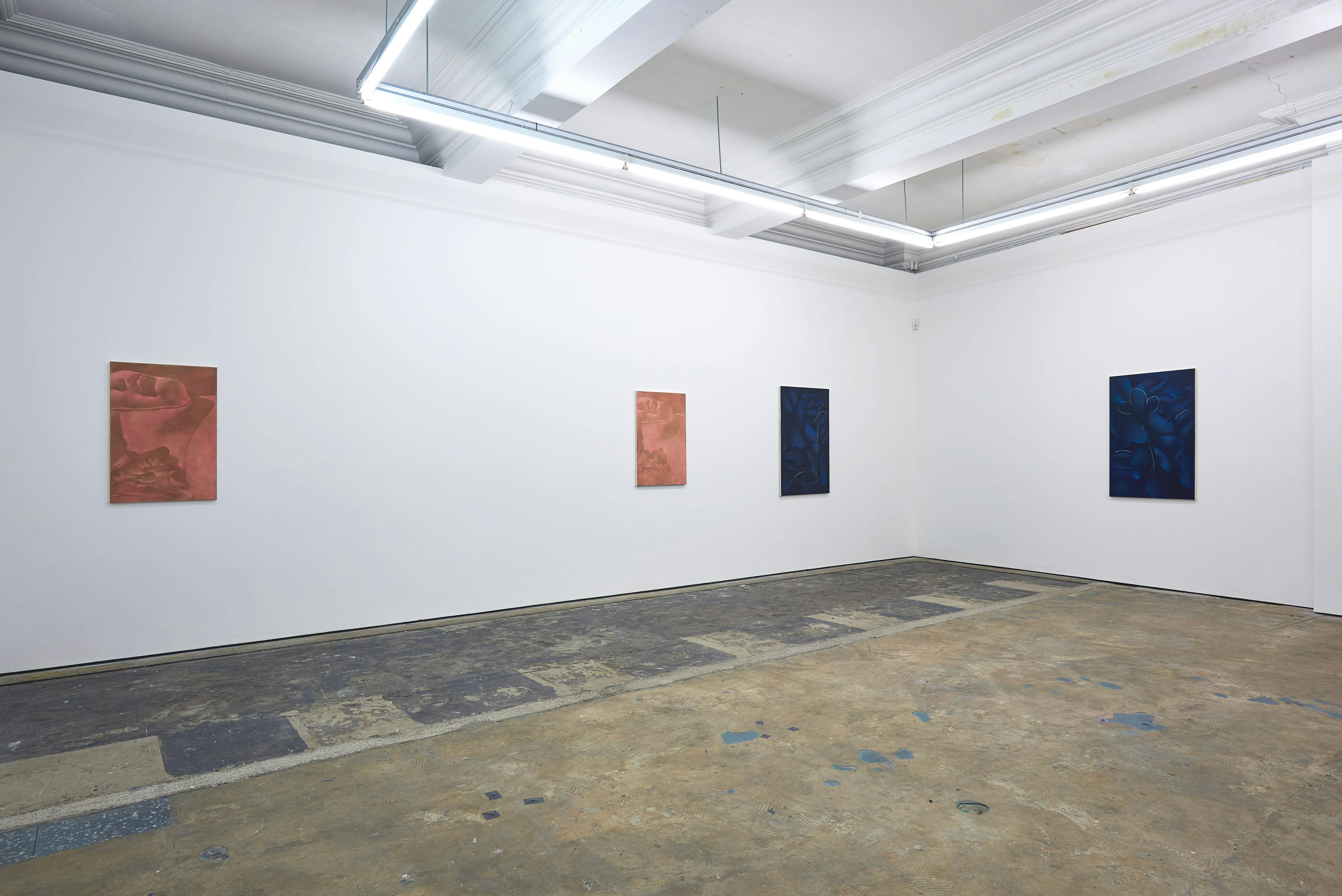 Installation documentation of Louise Giovanelli's 2019 solo exhibition at Workplace Foundation in Gateshead 