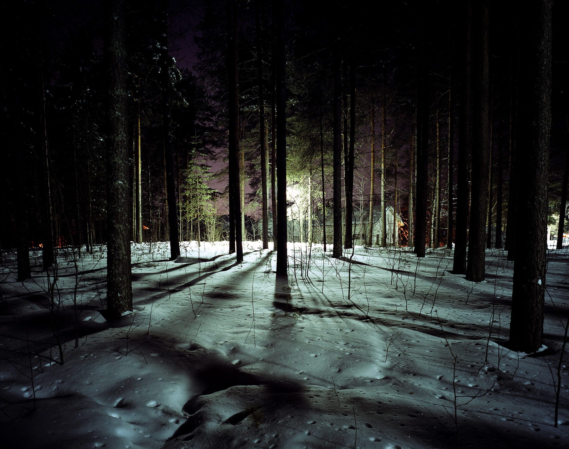 Finland Trees by Joe Clark - an image of a forest covered in snow at night, a light and a building are in the distance