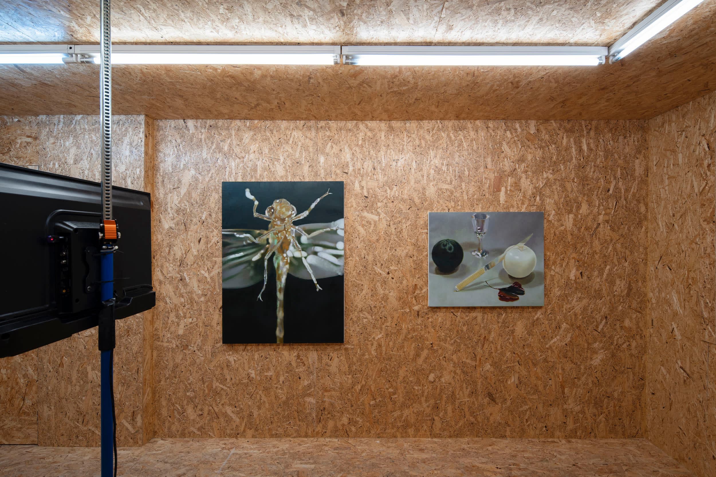 An exhibition of paintings and a video by Robin Megannity in a chipboard clad gallery space