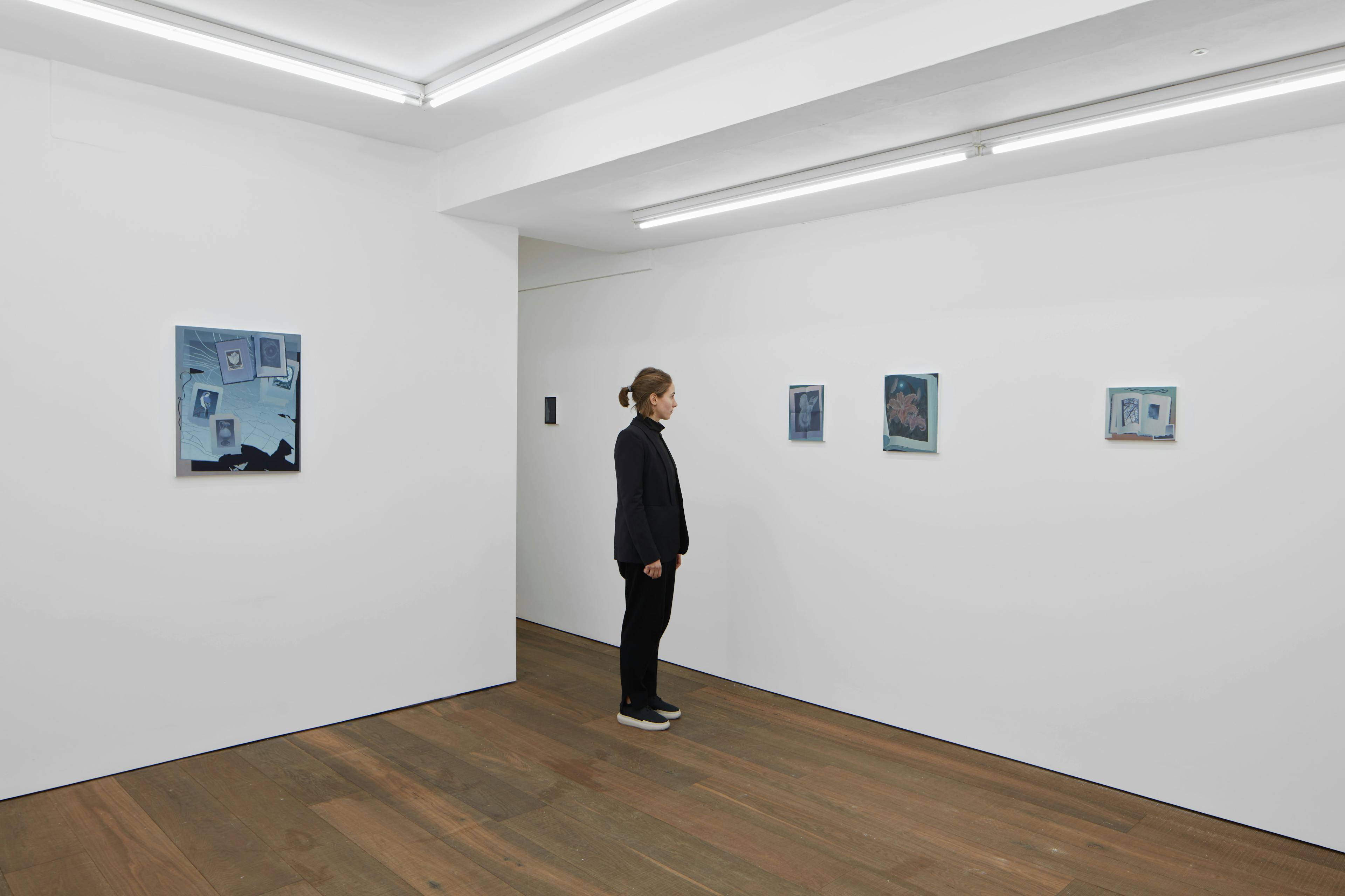 Installation shots of Olivia Jia's solo exhibition Ex Libris, at Workplace | London