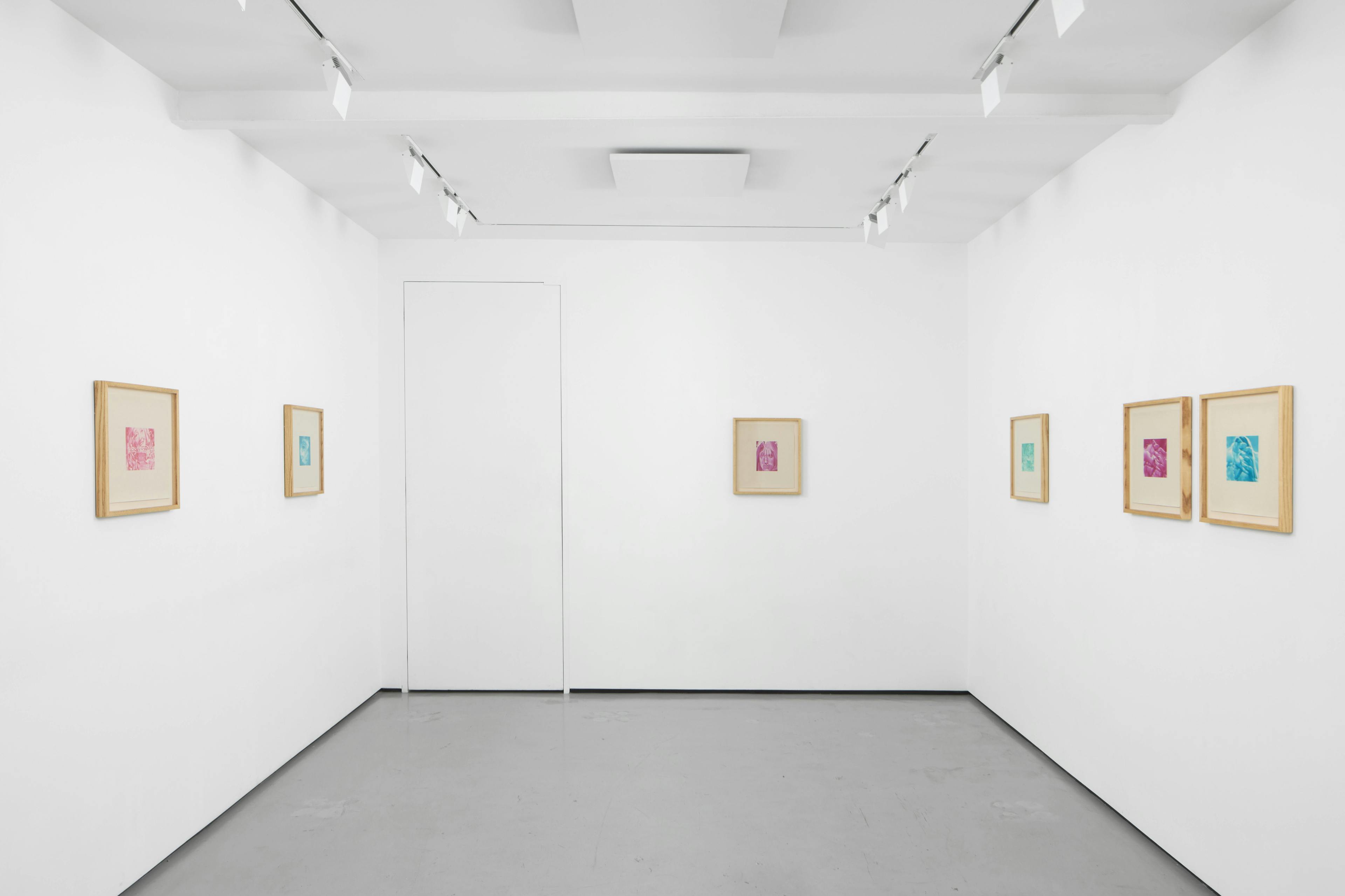 installation views of Julia Maiuri's exhibition at Workplace in London