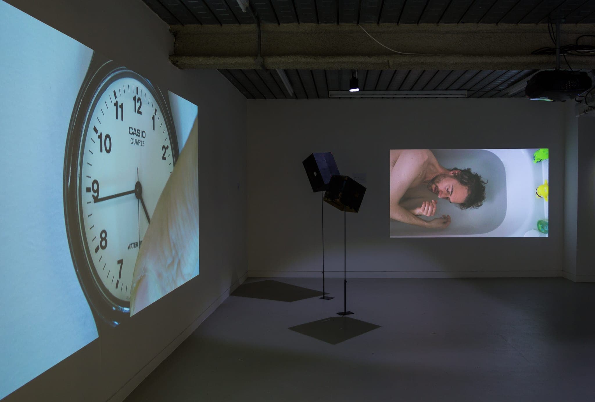 Installation images of Marcus Coates at Workplace | London