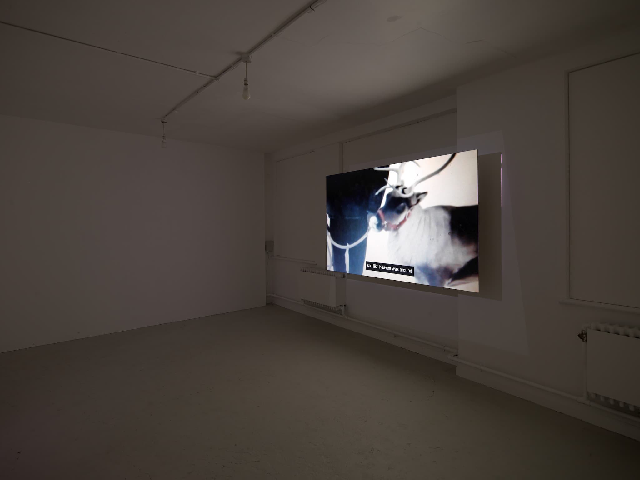 installation images of Cath Campbell's exhibition 'Everything we do corrects the space' at Workplace Gateshead