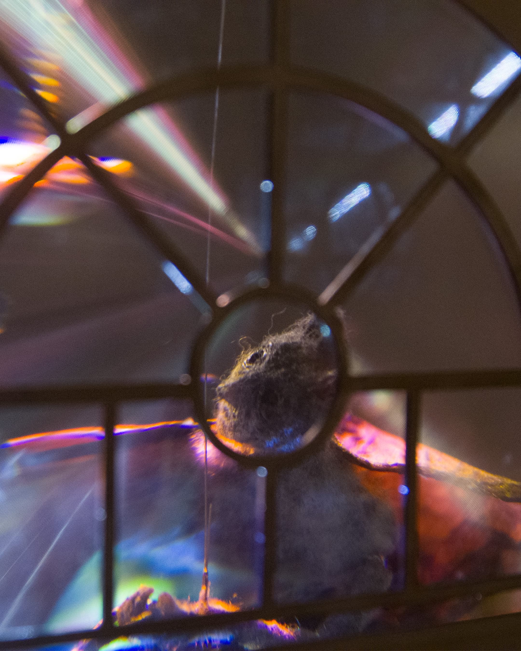 A detail of a kinetic sculpture by Hazel Brill comprised of steel, glass and lights