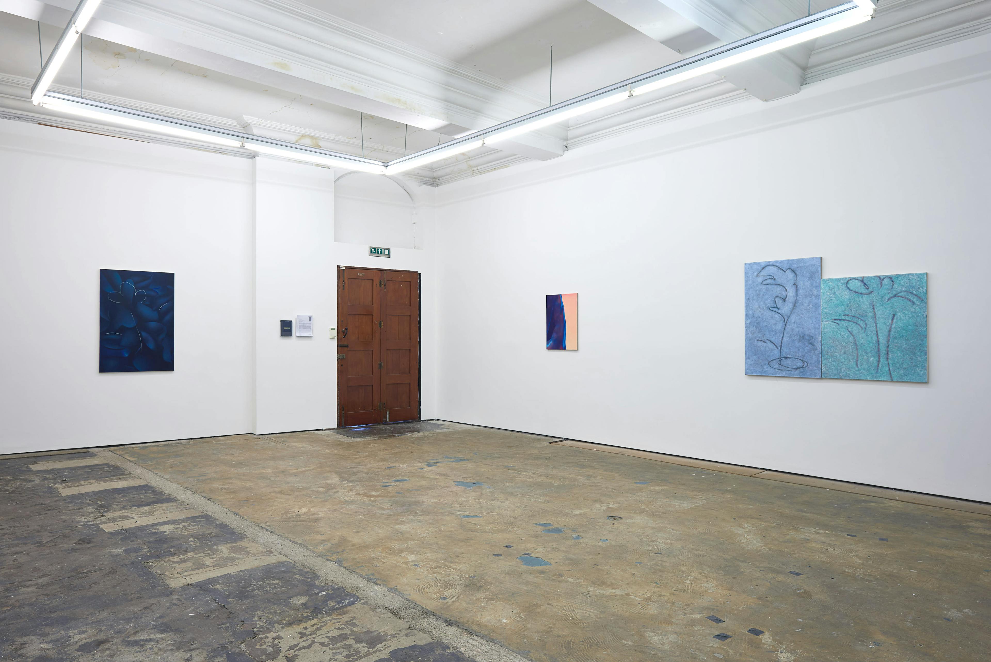 Installation documentation of Louise Giovanelli's 2019 solo exhibition at Workplace Foundation in Gateshead 