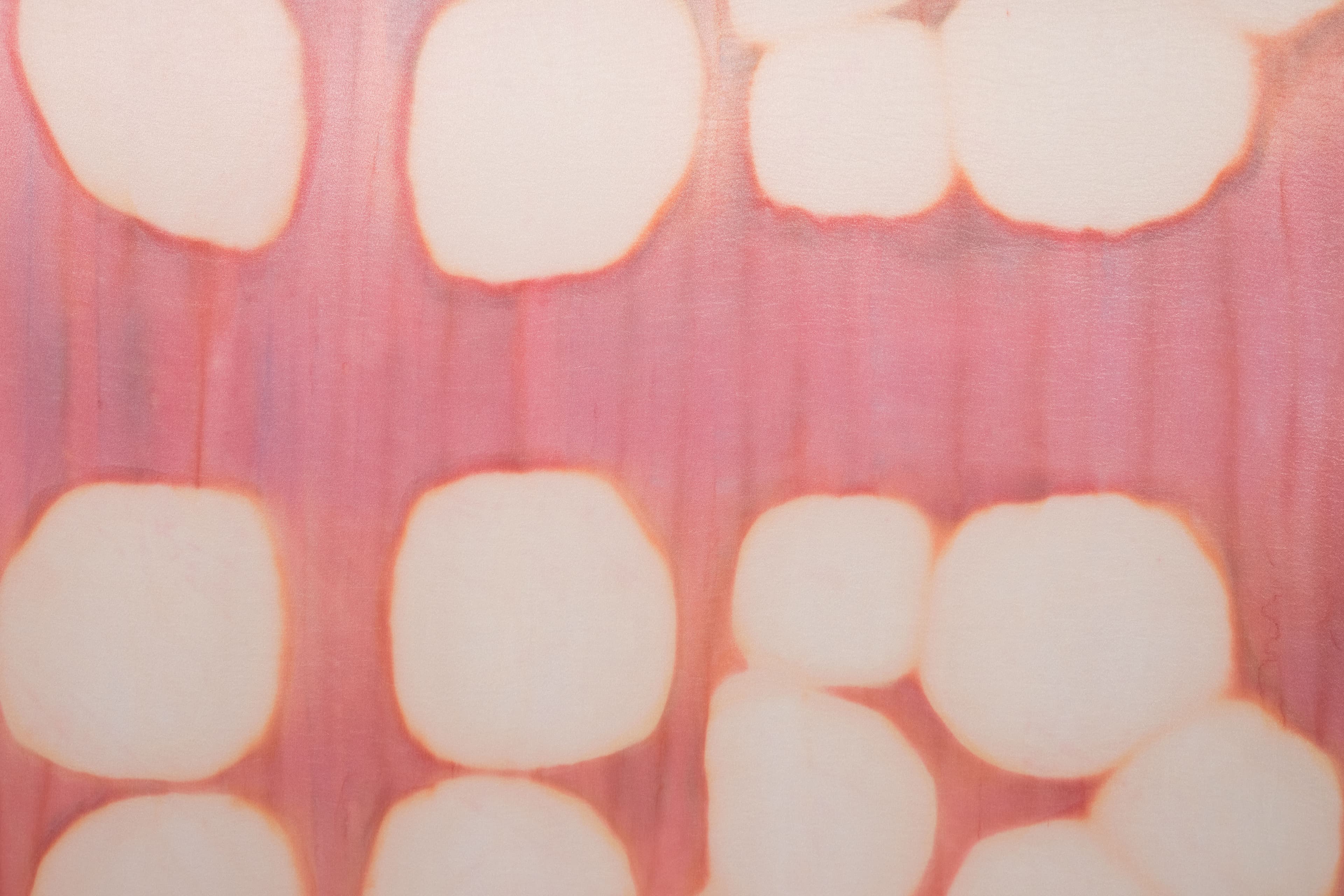 A large diptych painting by Max Boyla. Circular white forms on a pink background.