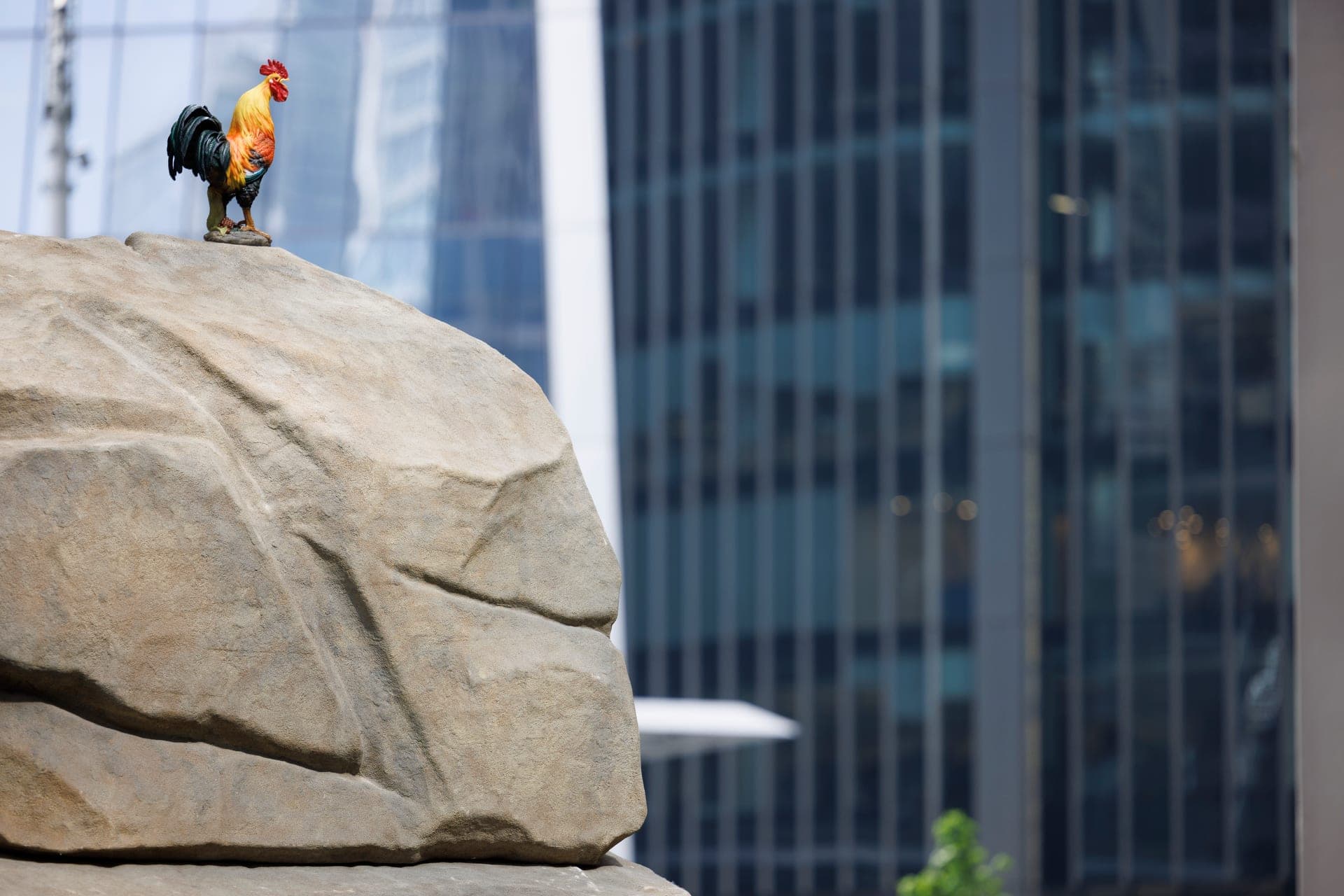 A large sculpture by Simeon Barclay of a boulder with a cockerel stood on top