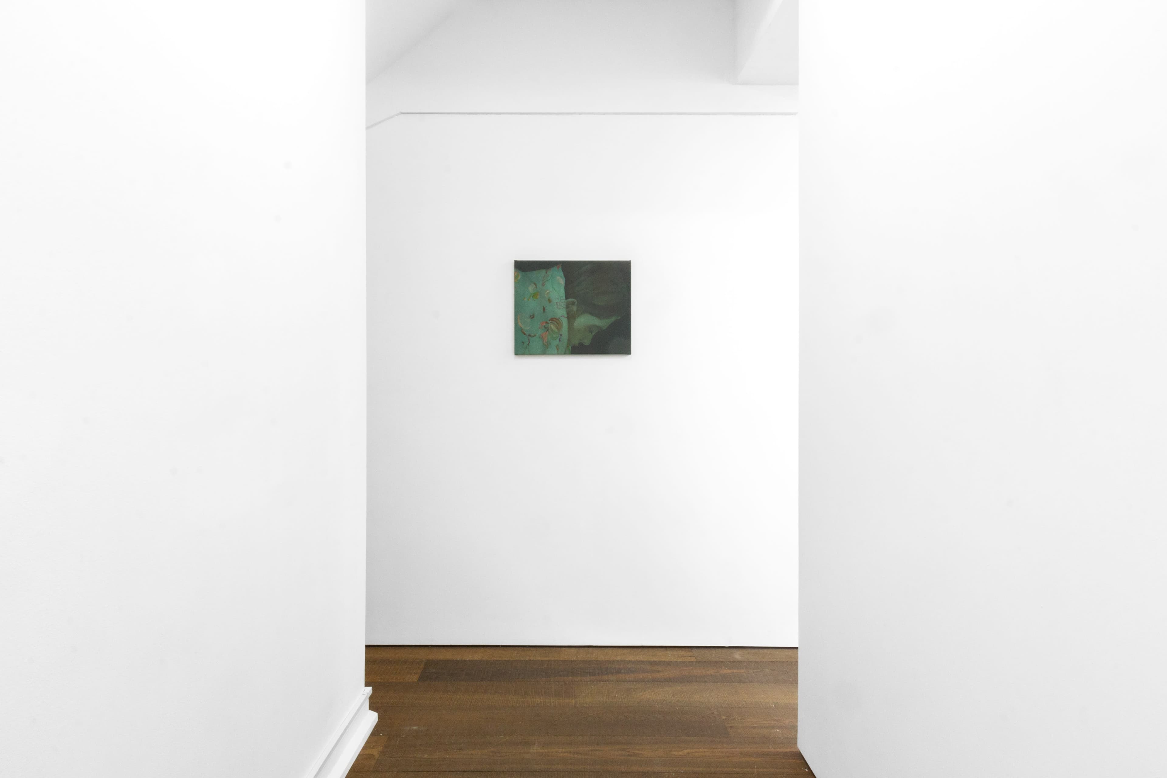 Installation shots of Katinka Lampe's exhibition 'Anima Mundi' at Workplace | London