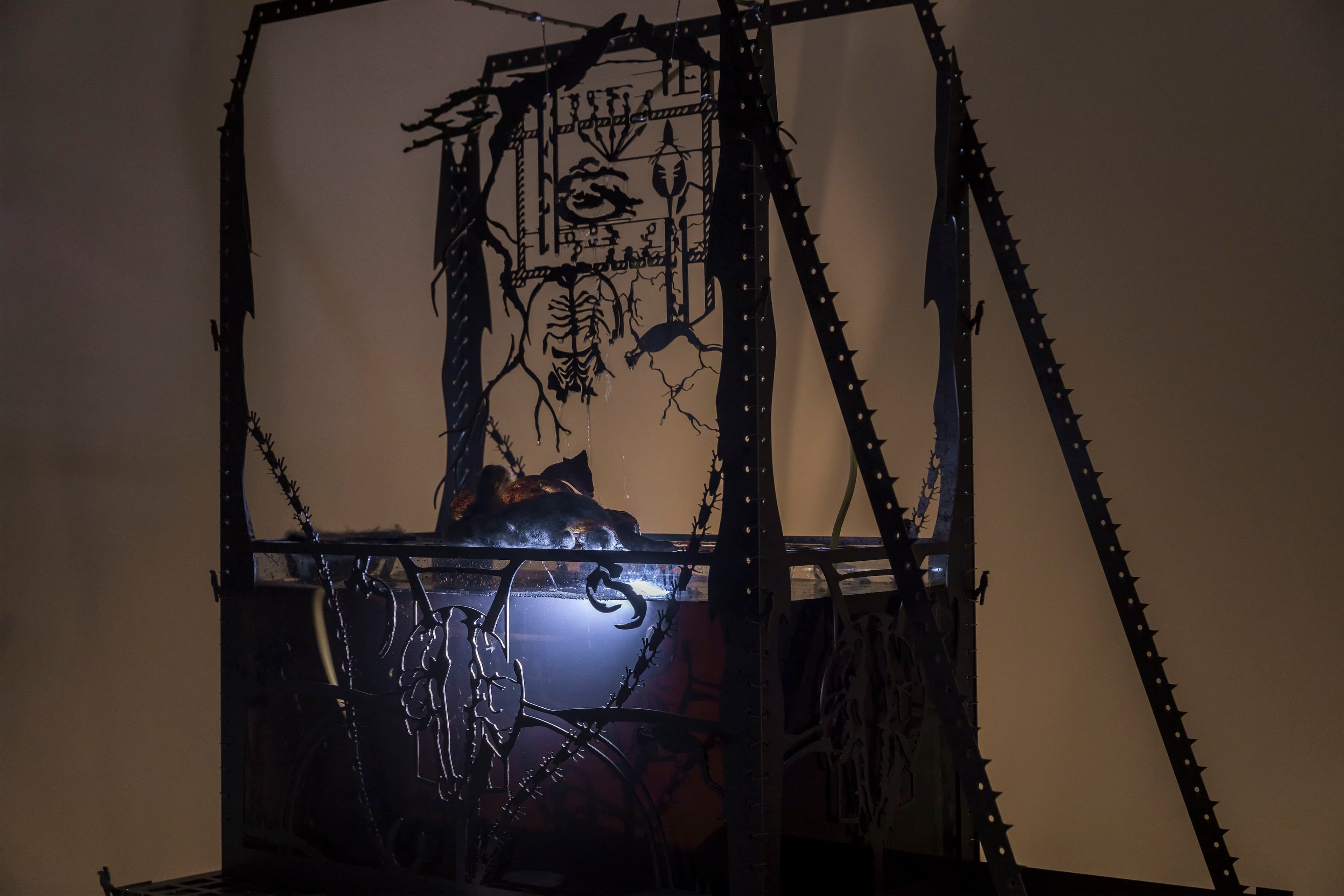 An installation by Hazel Brill including a water tanks filled with a dark liquid laser cut steel dividers, mouth-blown glass objects, projections and lights