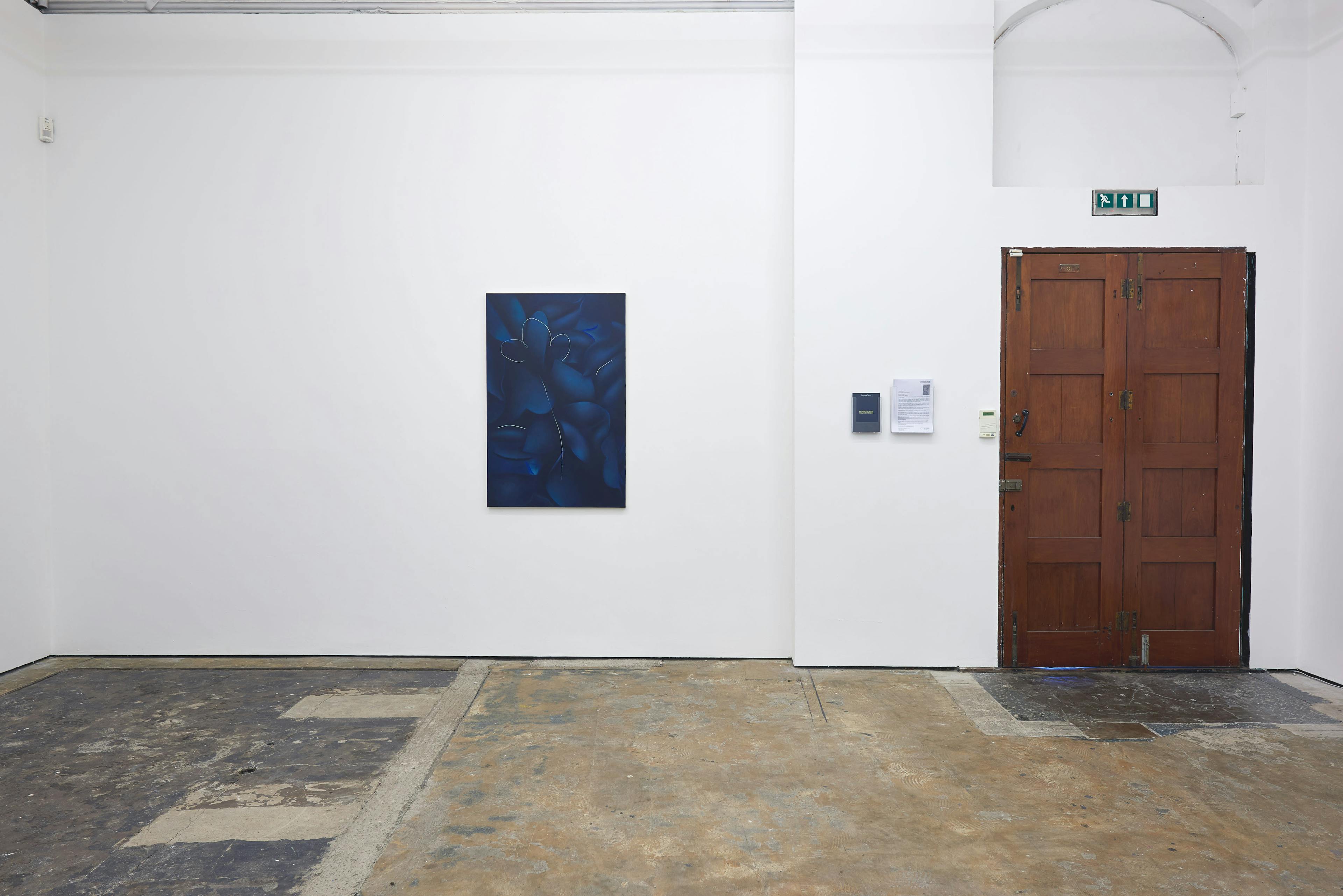 Installation documentation of Louise Giovanelli's 2019 solo exhibition at Workplace Foundation in Gateshead 