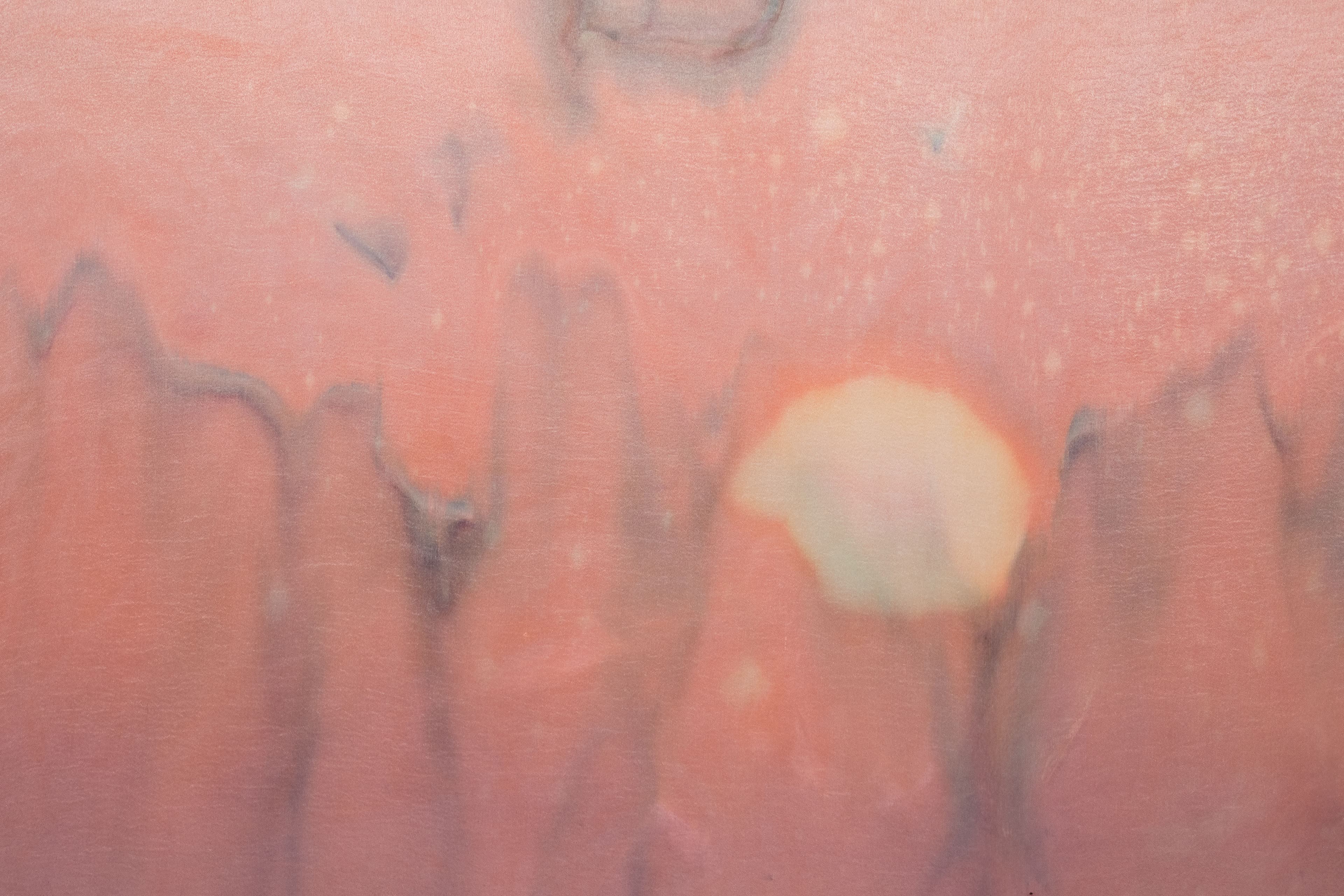 Medium sized painting by Max Boyla. Pink background with two bleached white and pale pink circles in the middle of the canvas, and grey marble markings. 