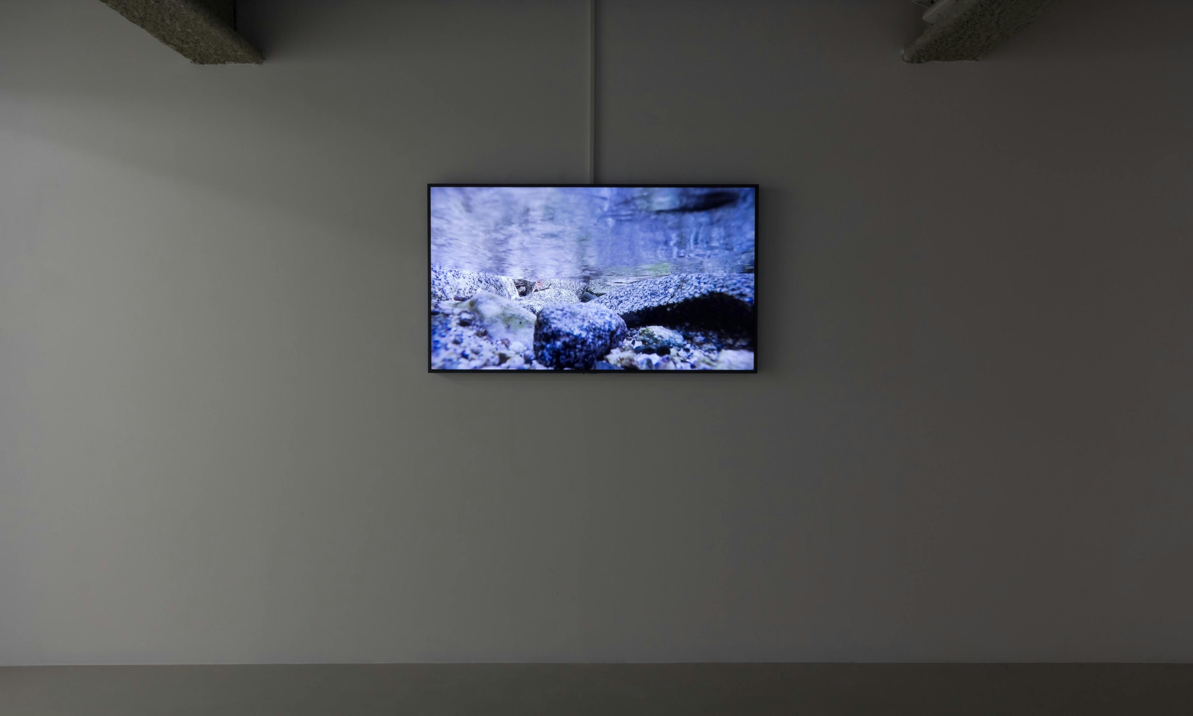 Installation documentation of Joel Kyack's exhibition "Hold On Tightly / Let Go Lightly" at Workplace | London